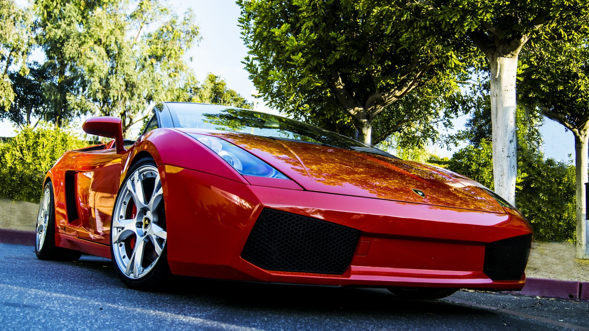 gallardo, car