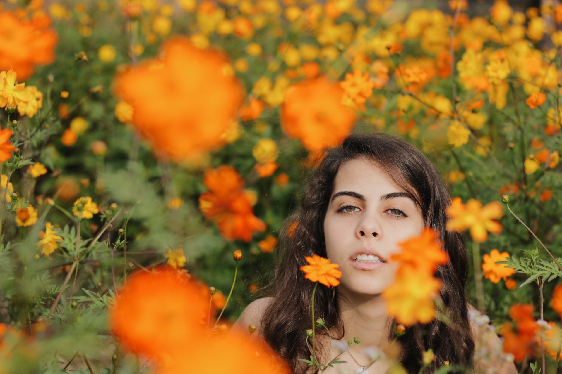 космо, цветочные