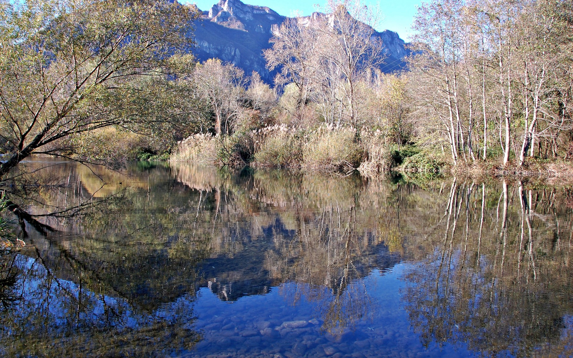 Природа 99037