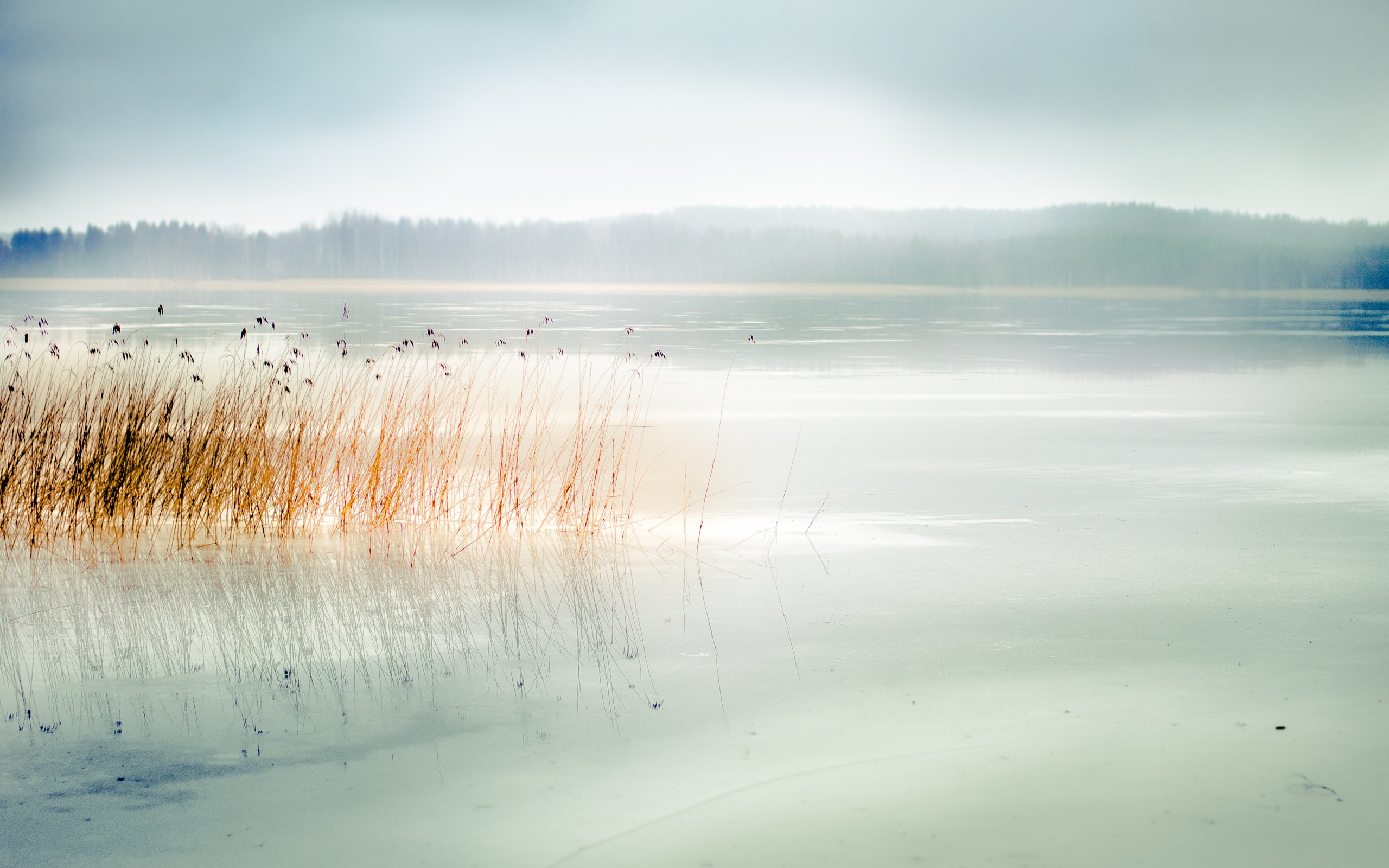 вода, ресурсы
