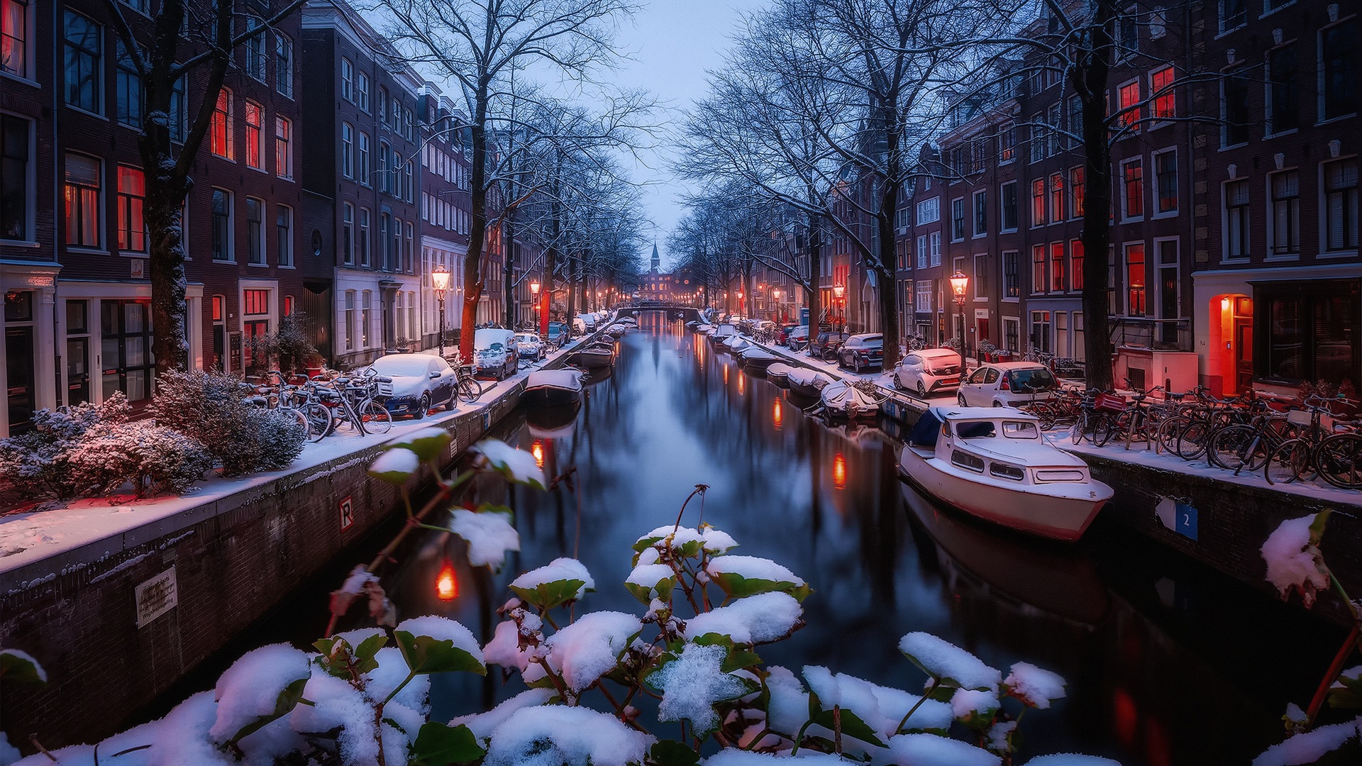 winter, amsterdam, снег