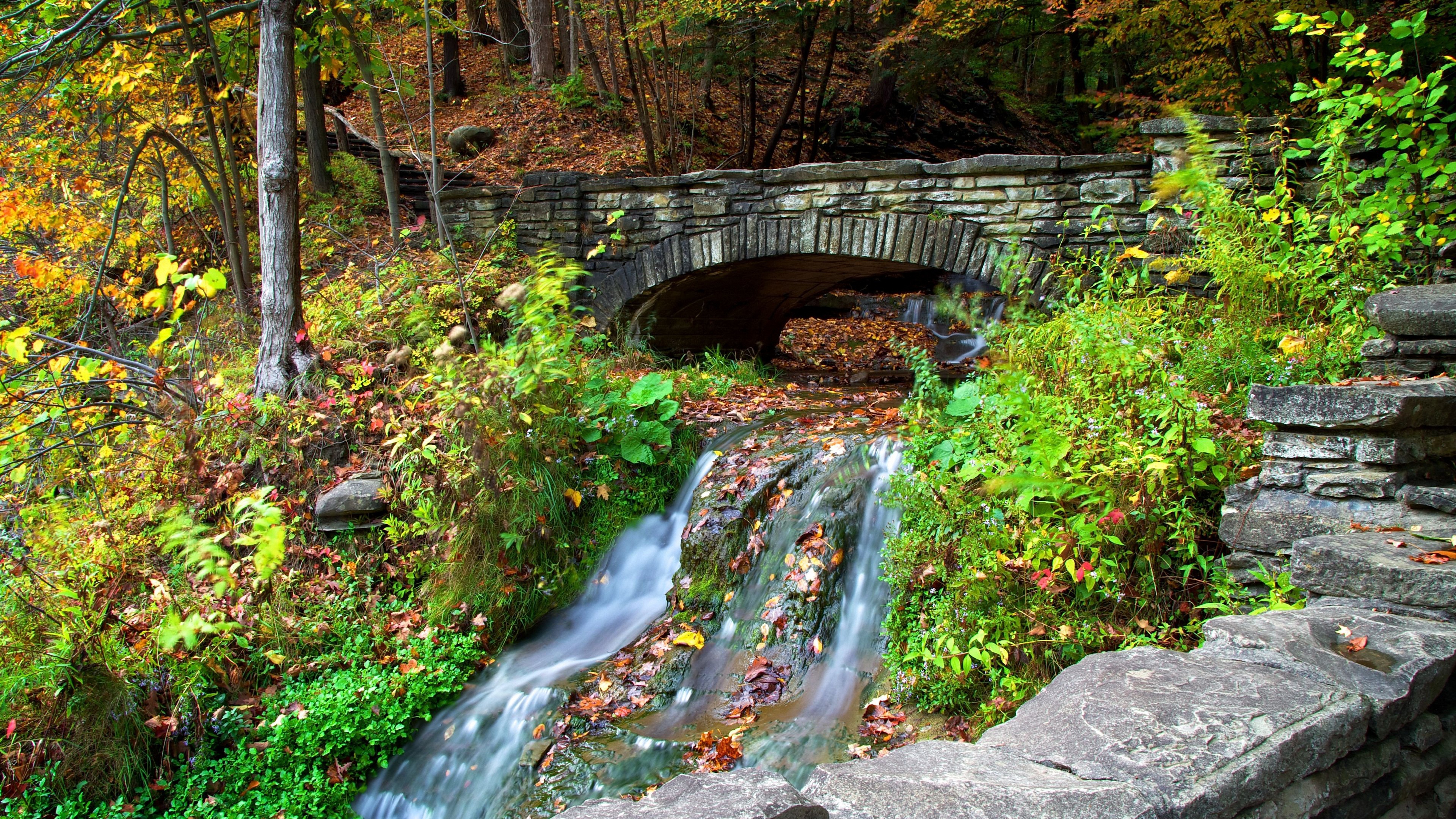 государство