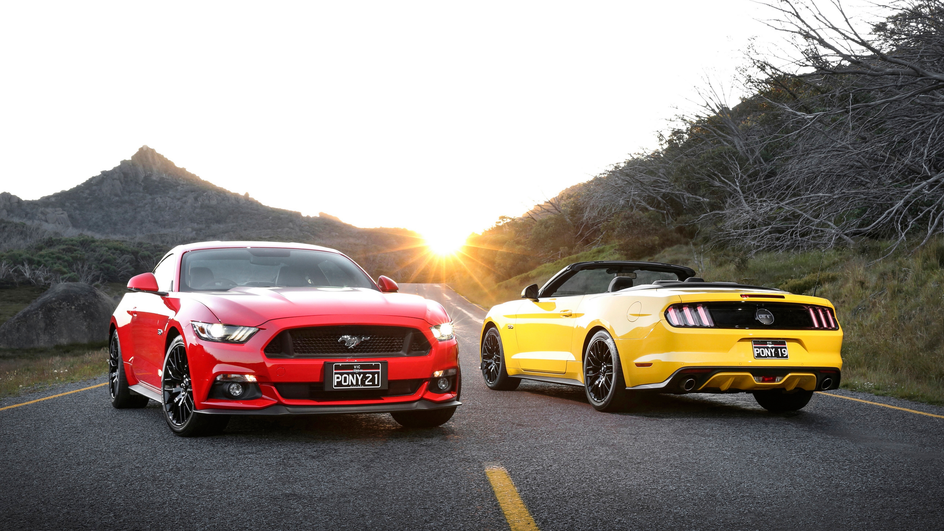 mustang, ford, car