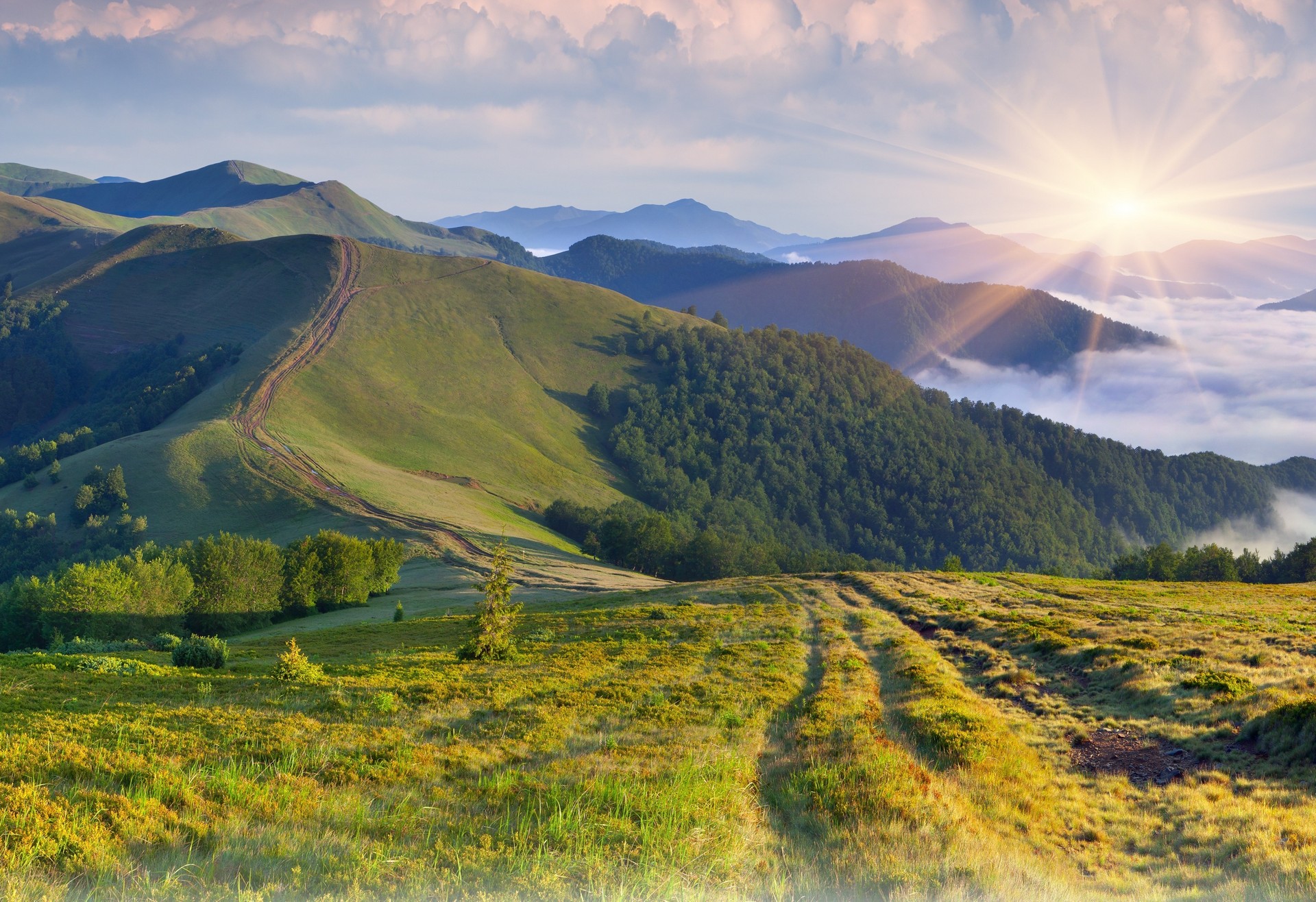 краска, пейзаж