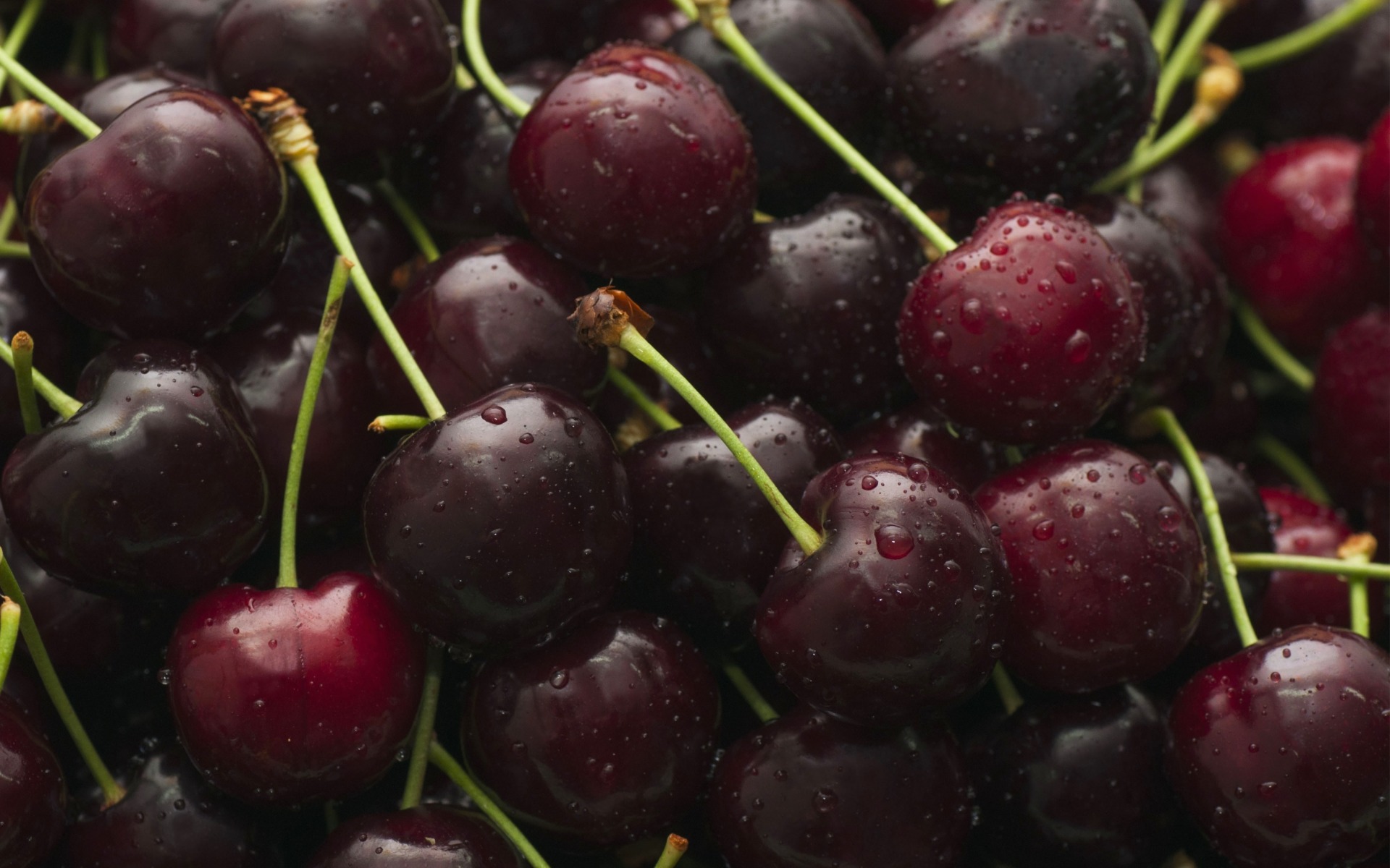 cherry