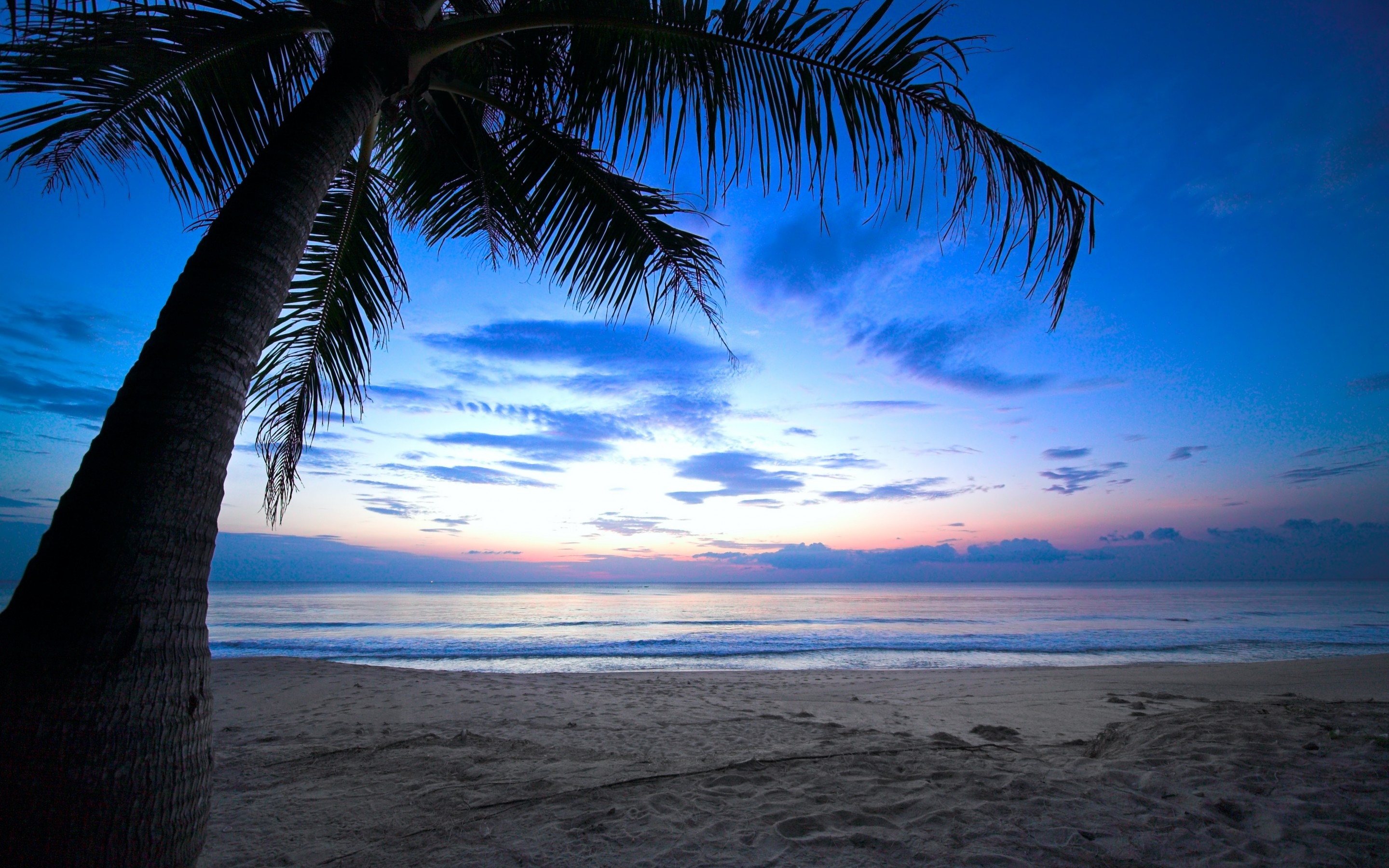 пальмы небо пляж без смс