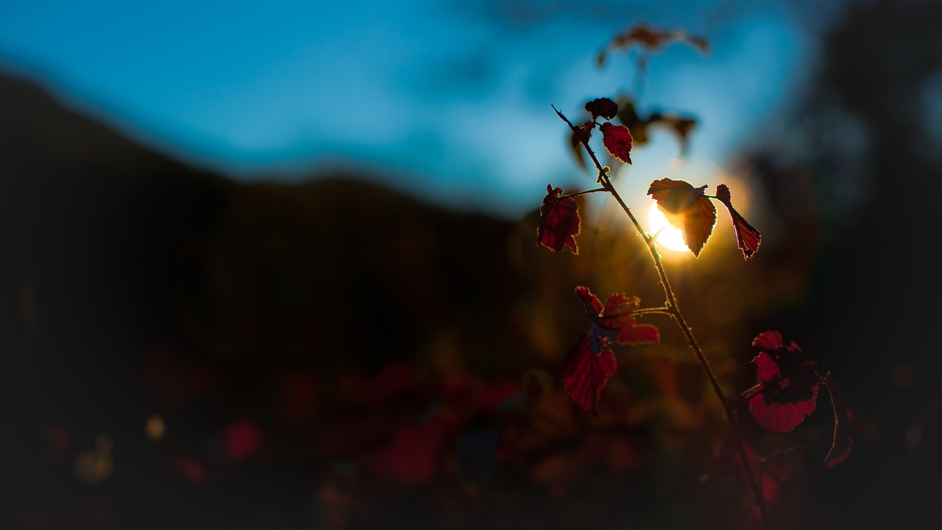 полный, полный