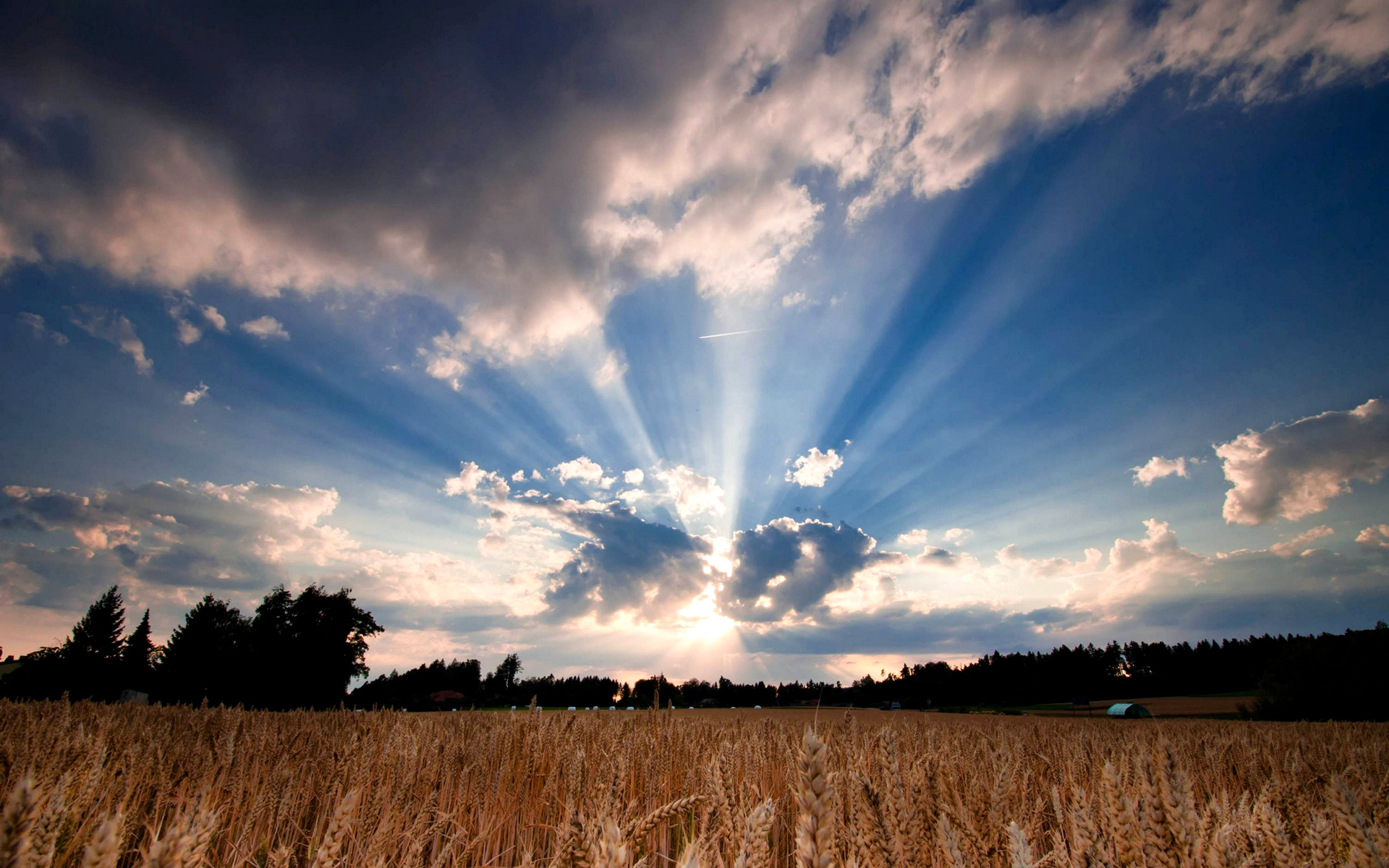 обложки, фейсбук, фото