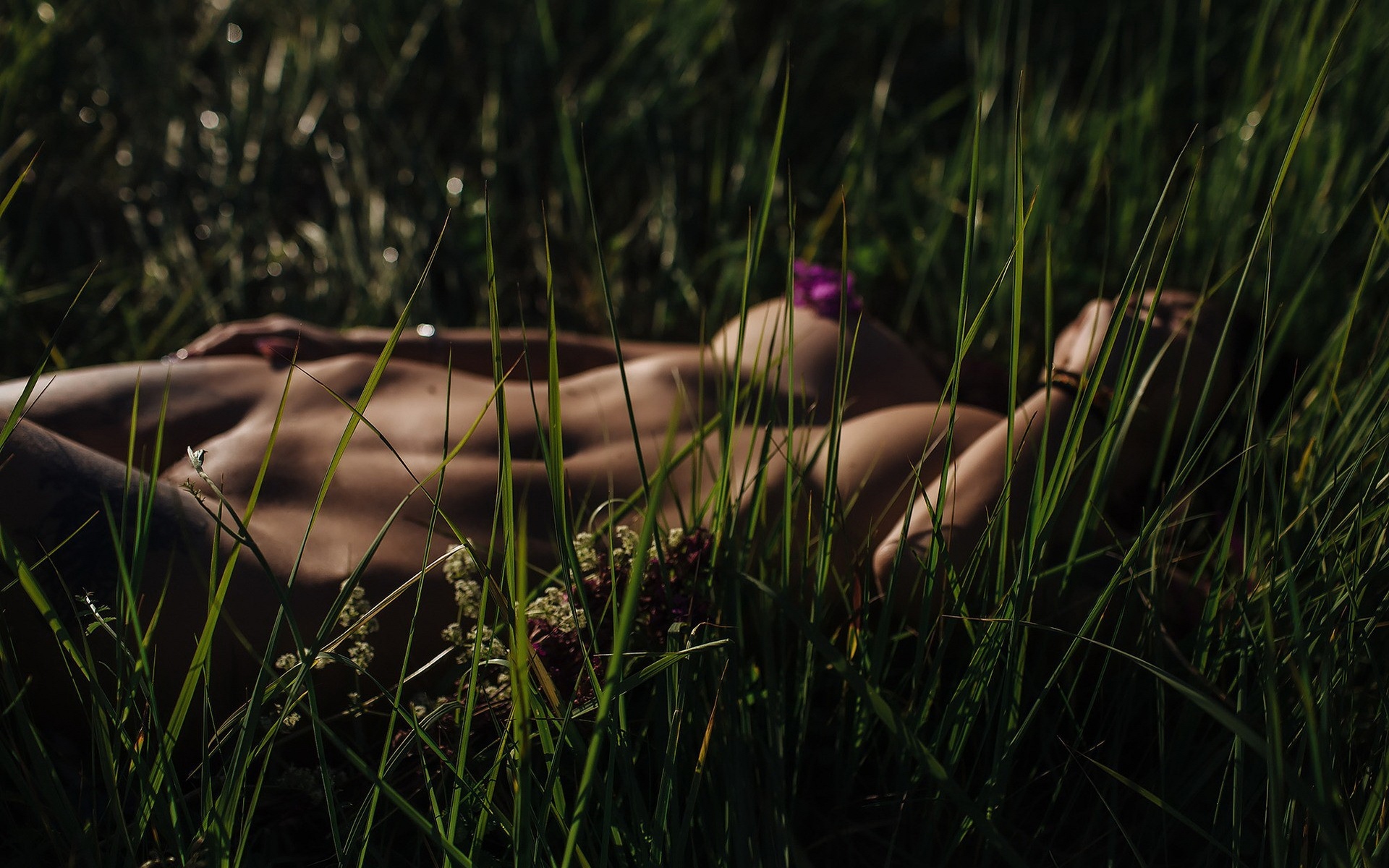 модель, магазин, шкала