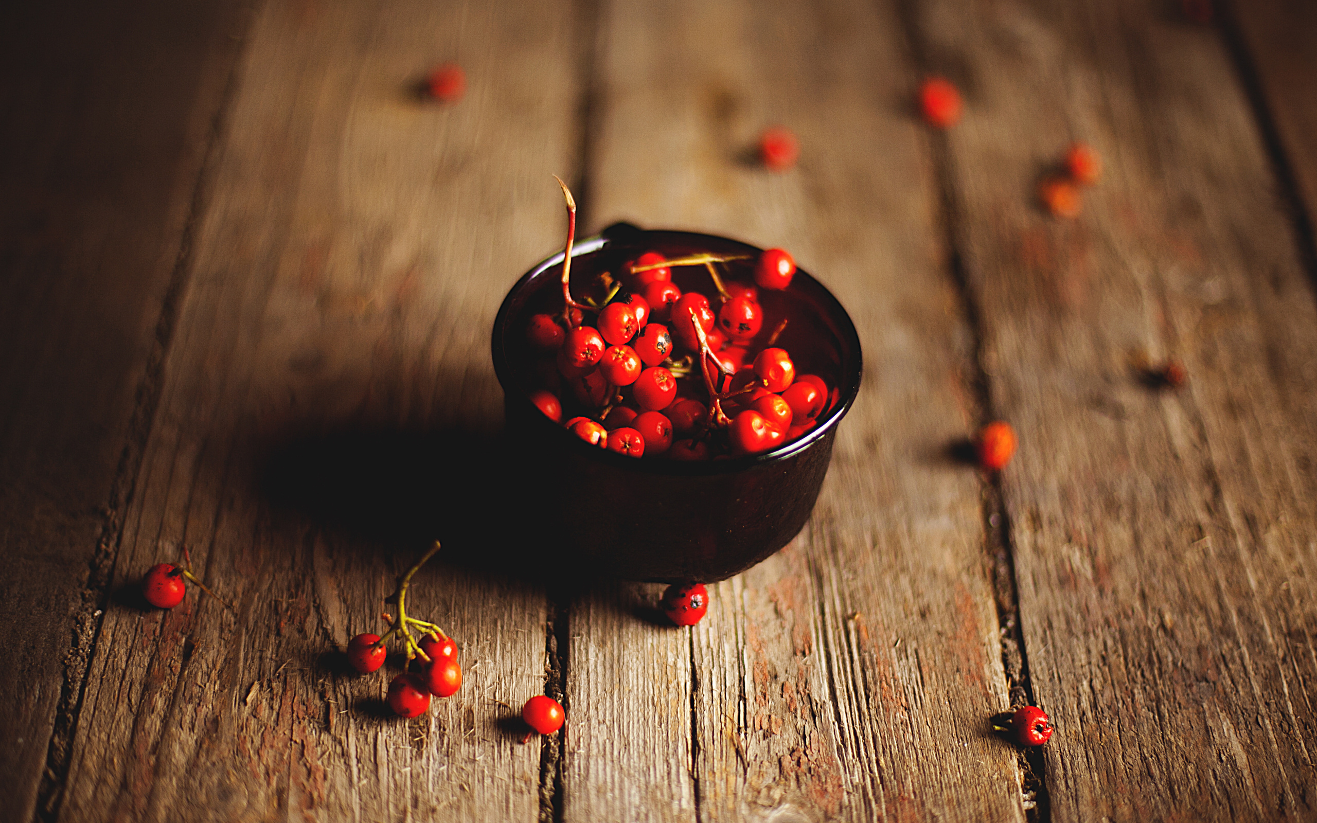 berries, ягоды, macro
