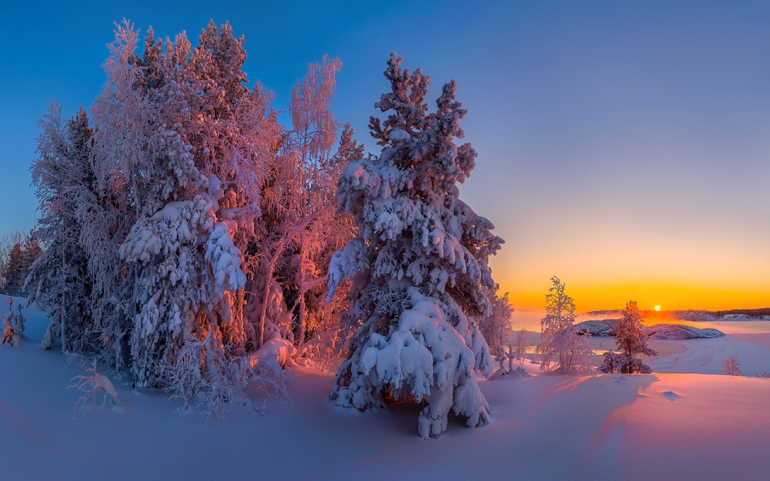 зима, кариелия, четвертый
