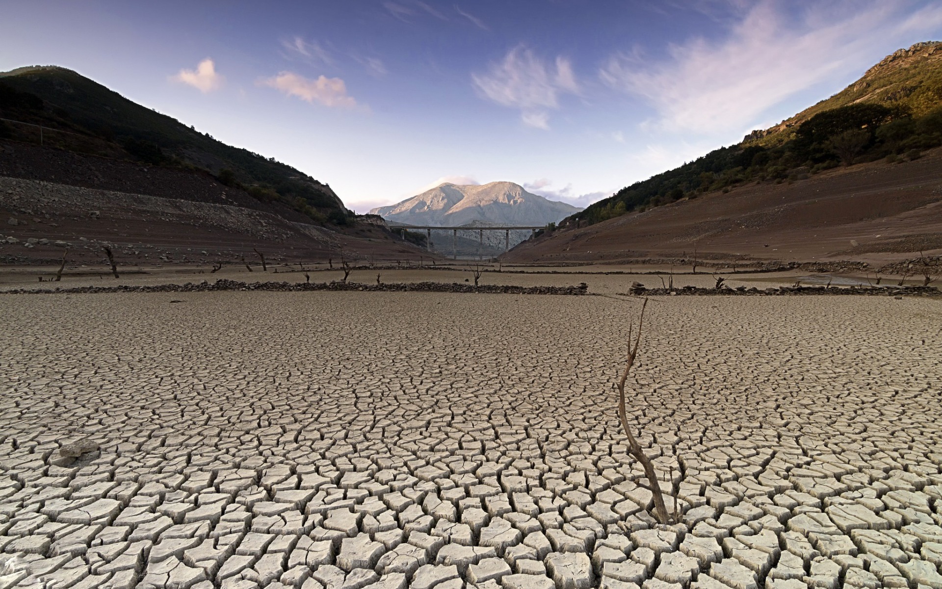 казахстан, степь, близко