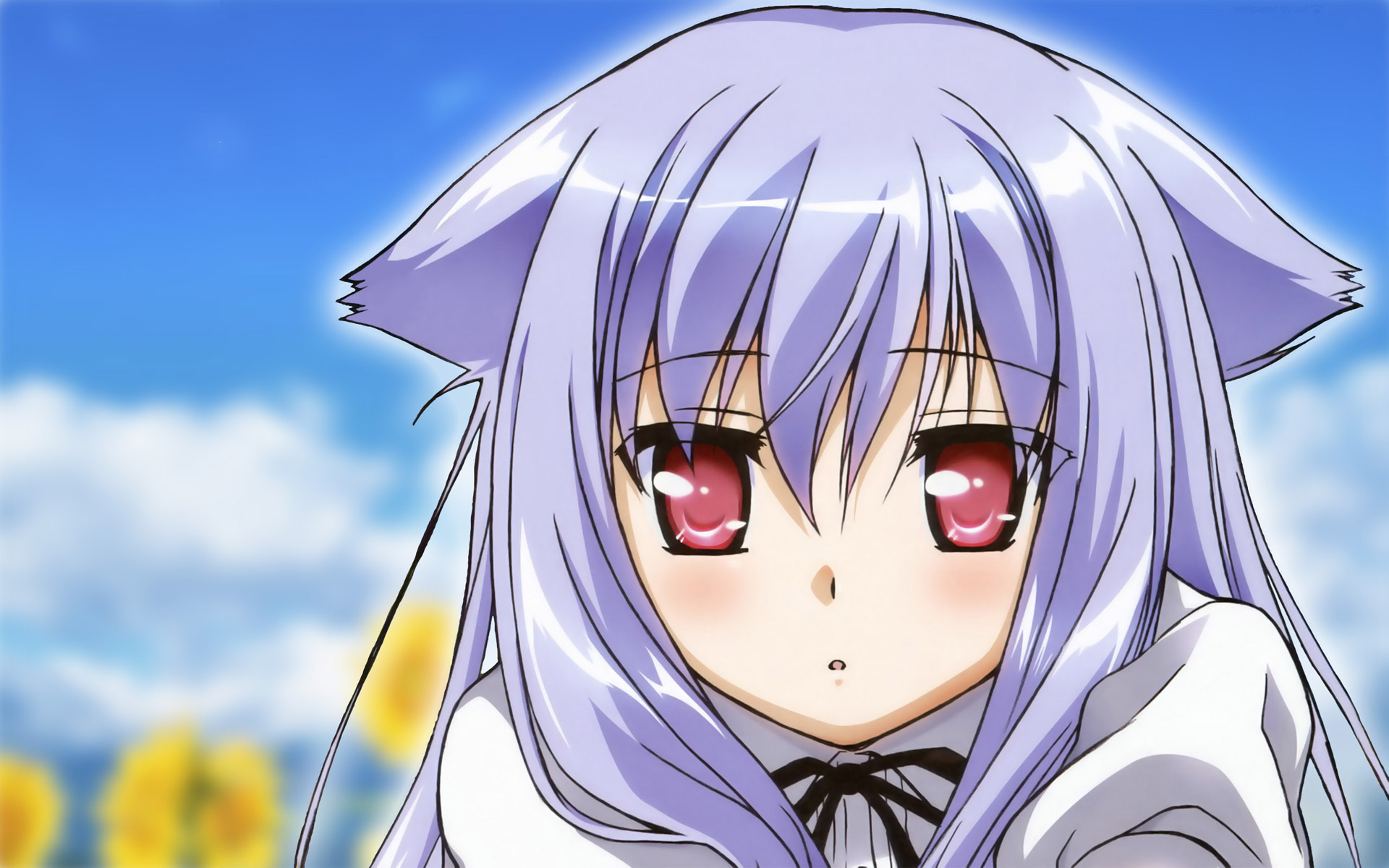 neko, overrun