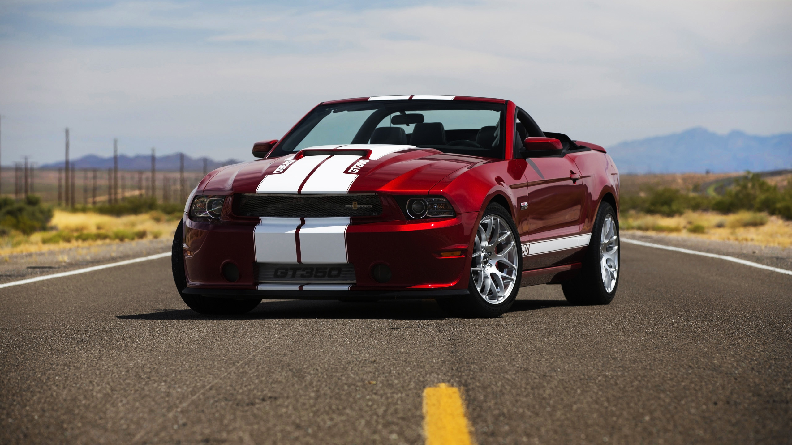 ford, mustang, shelby No 80613 Разрешение 2560x1440