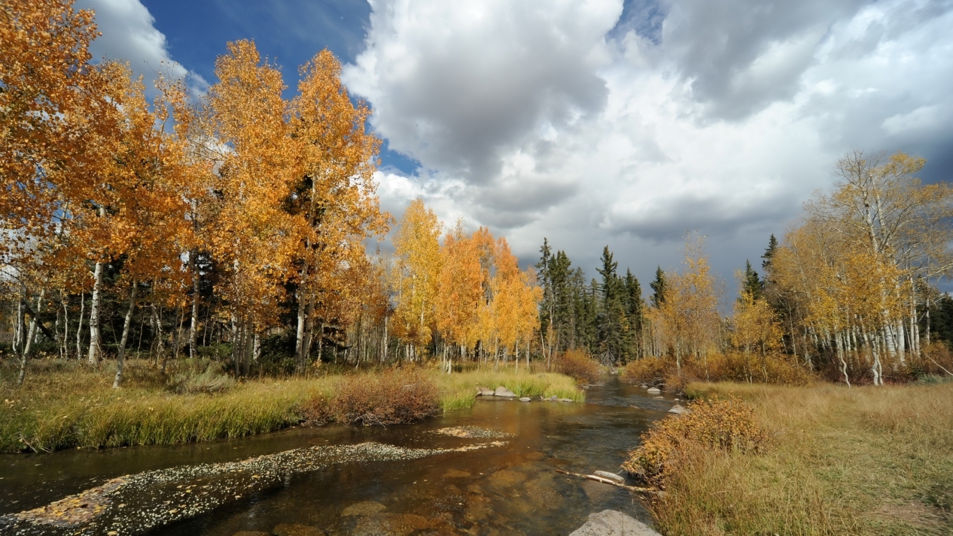 осень, зеленый, пейзаж No 83860 разрешение 1920x1080