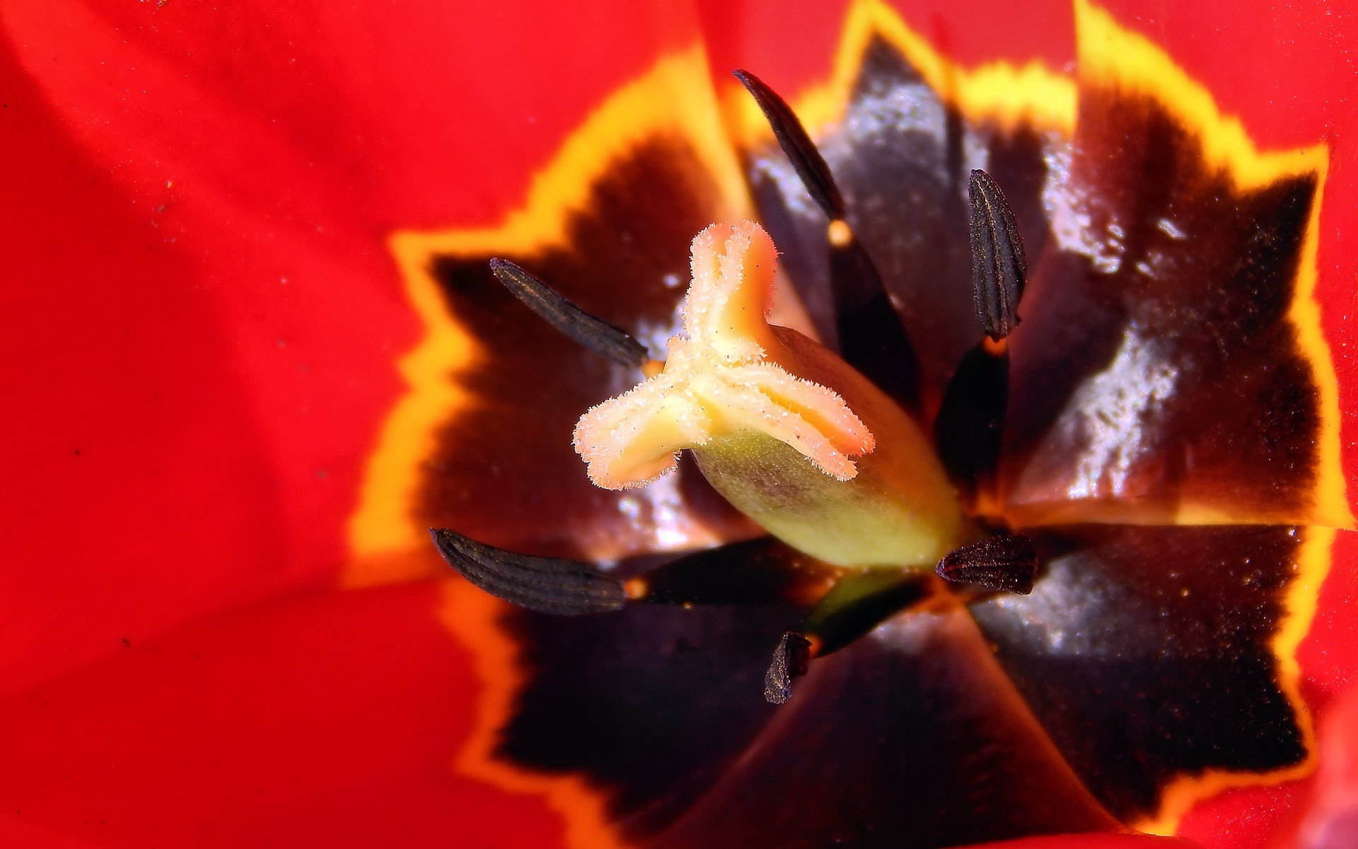 представлены, сайте, качественные