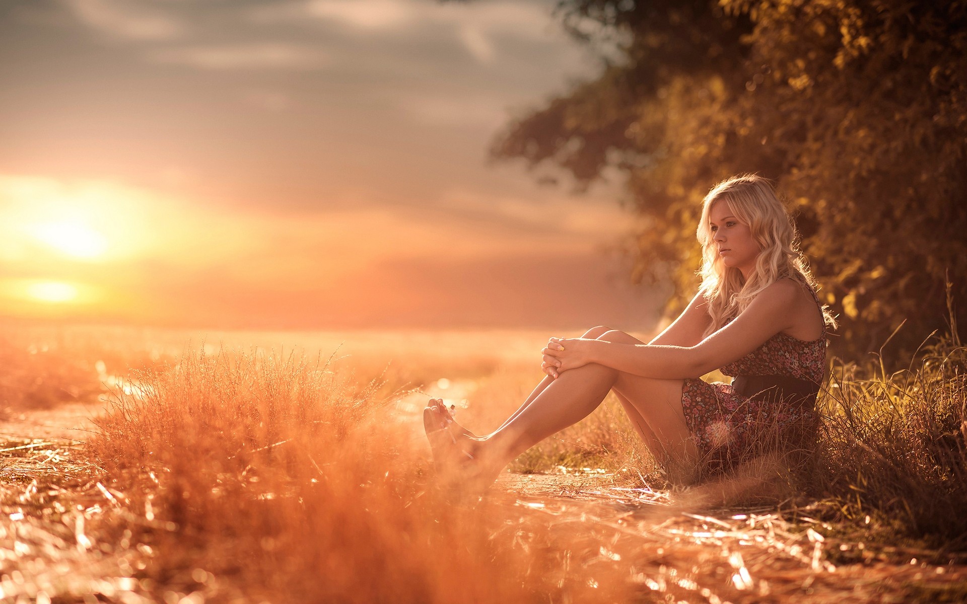 лето, аптека, сеть