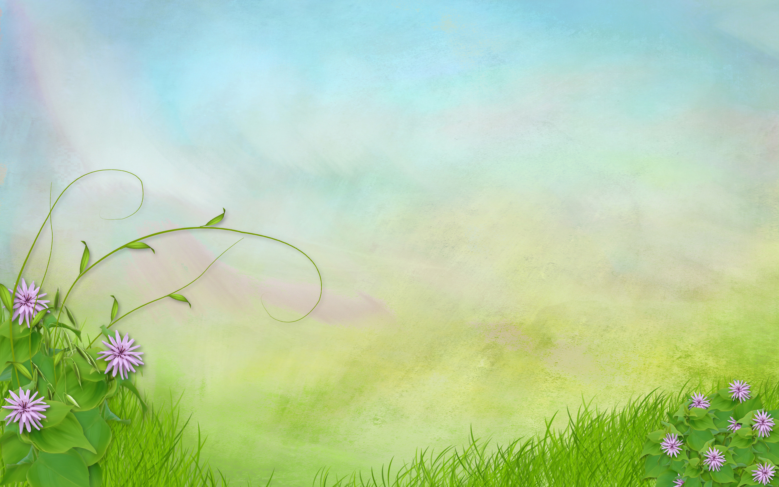 name Разрешение 2560x1600