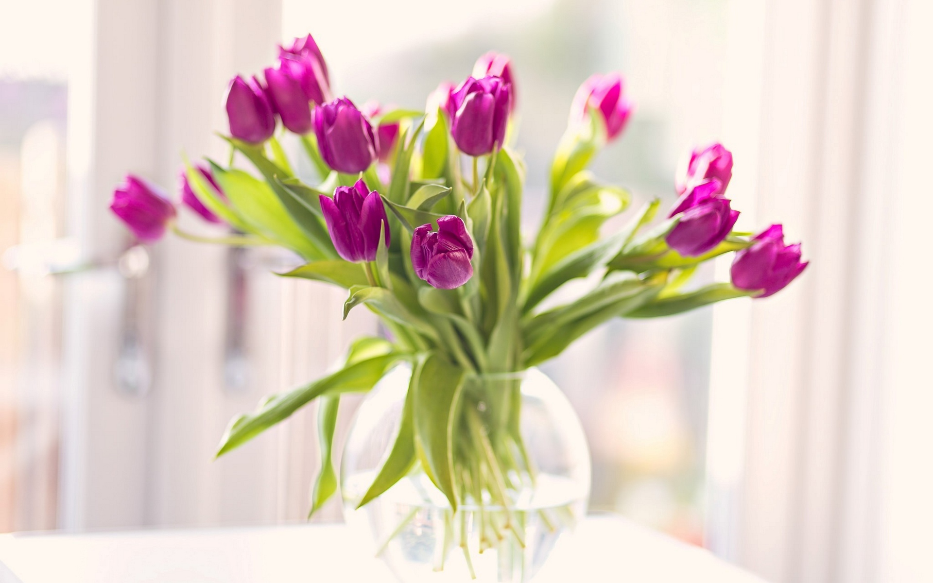Тюльпаны в вазе без смс
