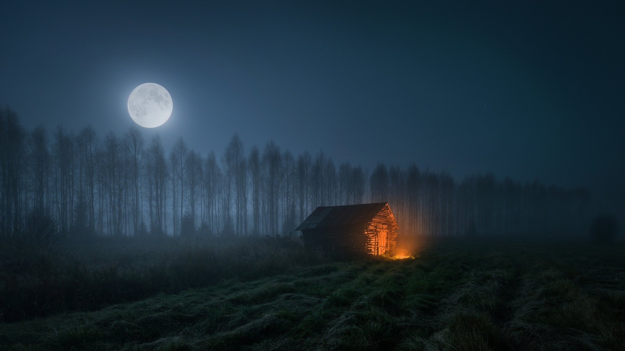 луна, ночь, дерево
