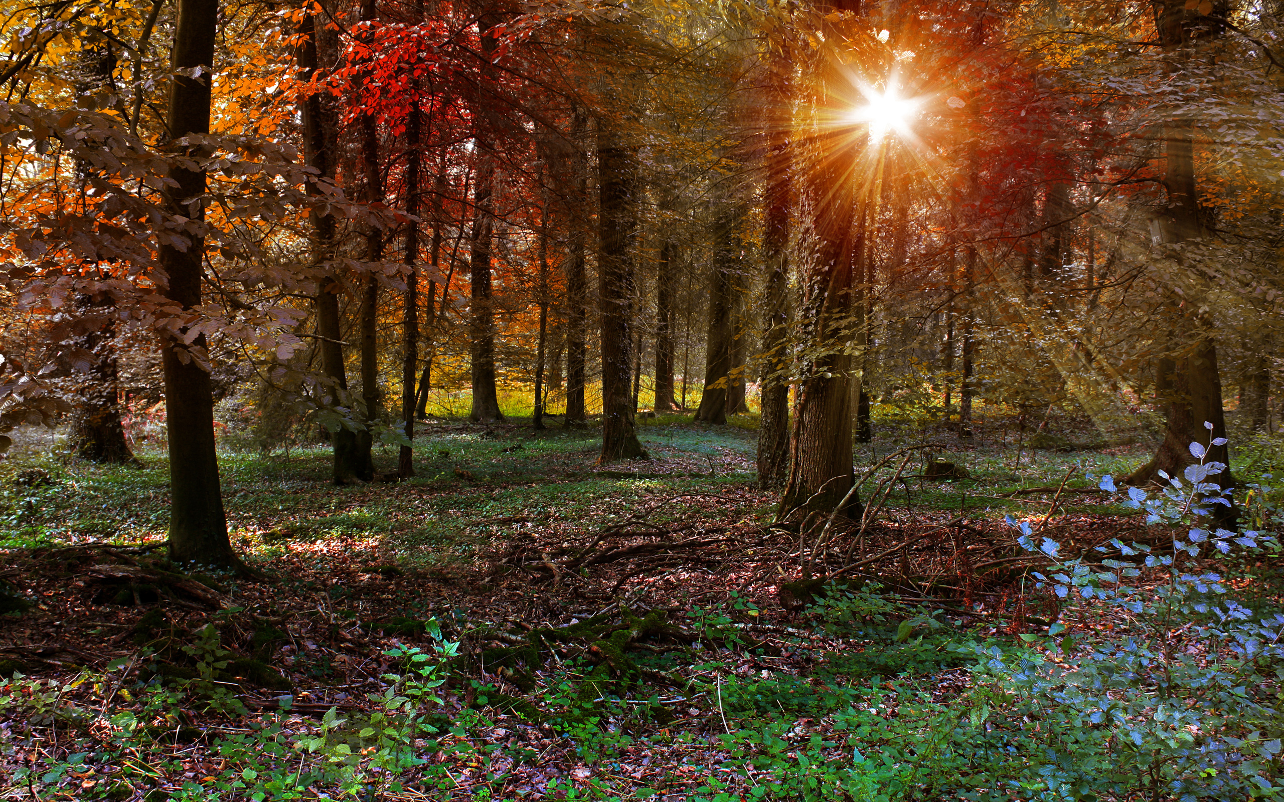 солнечный свет, качество, полный