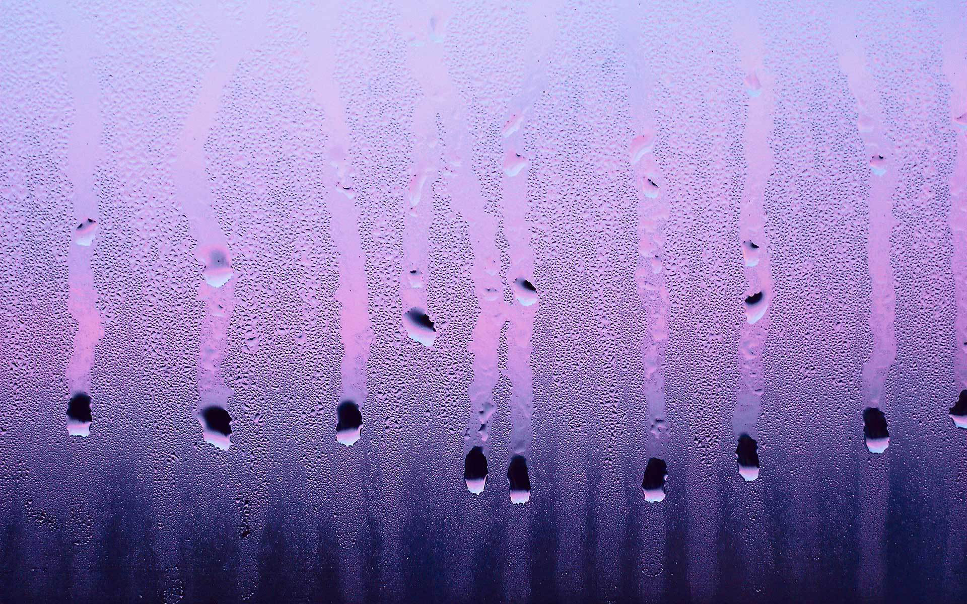 water, drop, purple