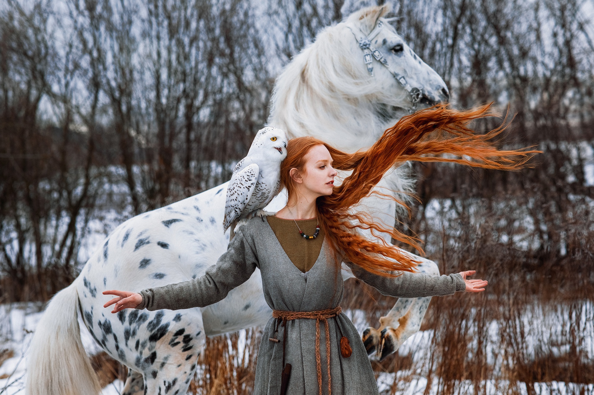 лошадь, девушка, сова