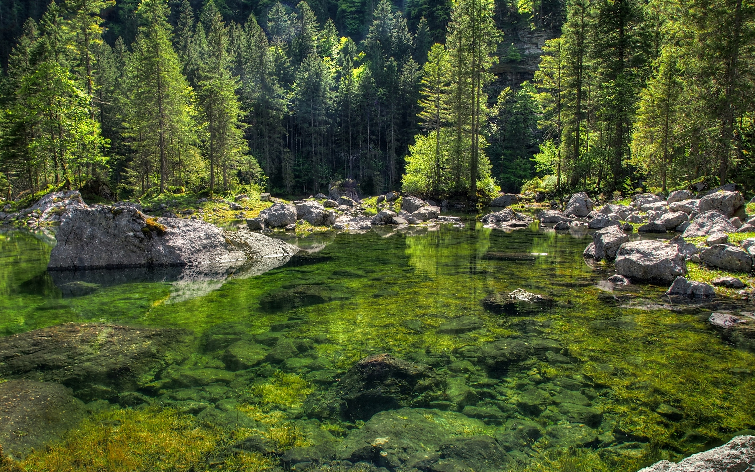 озеро лес камни без смс