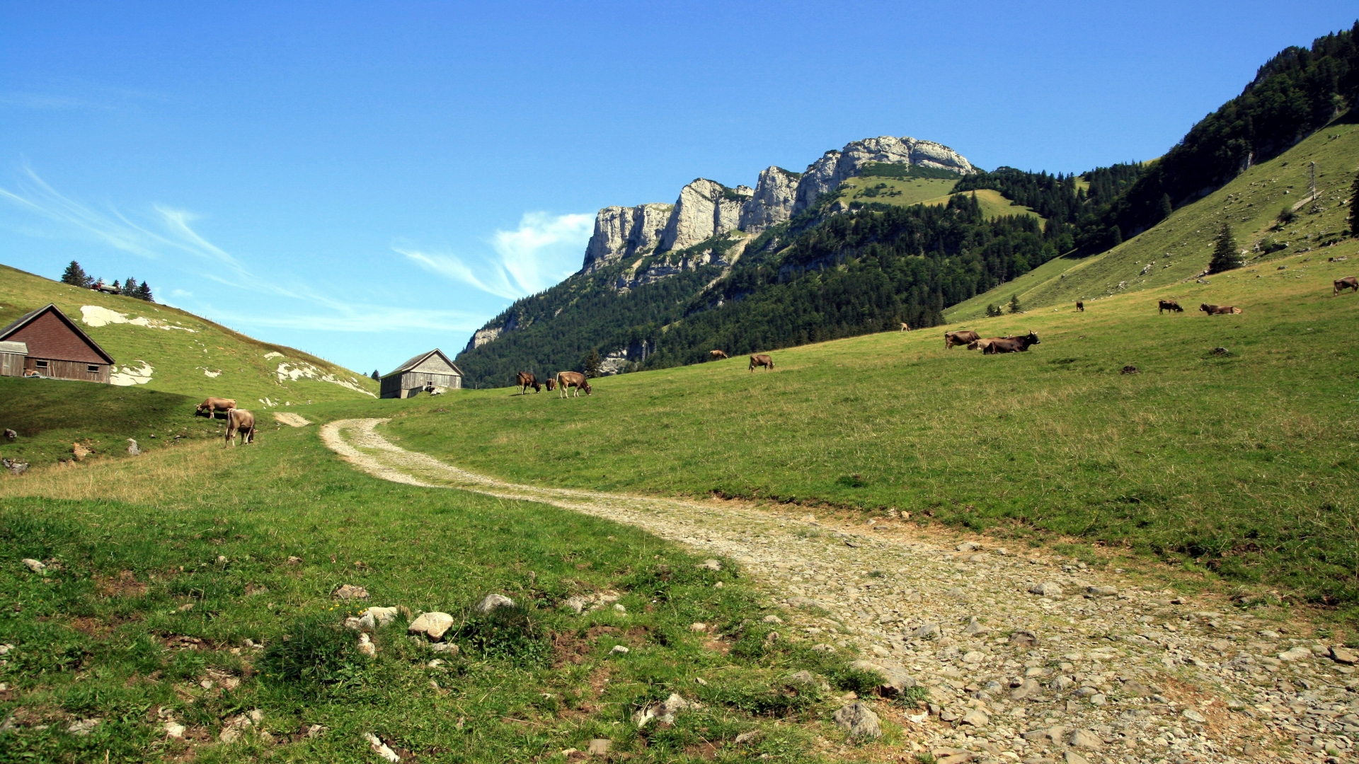 гора, швейцария, сегодня