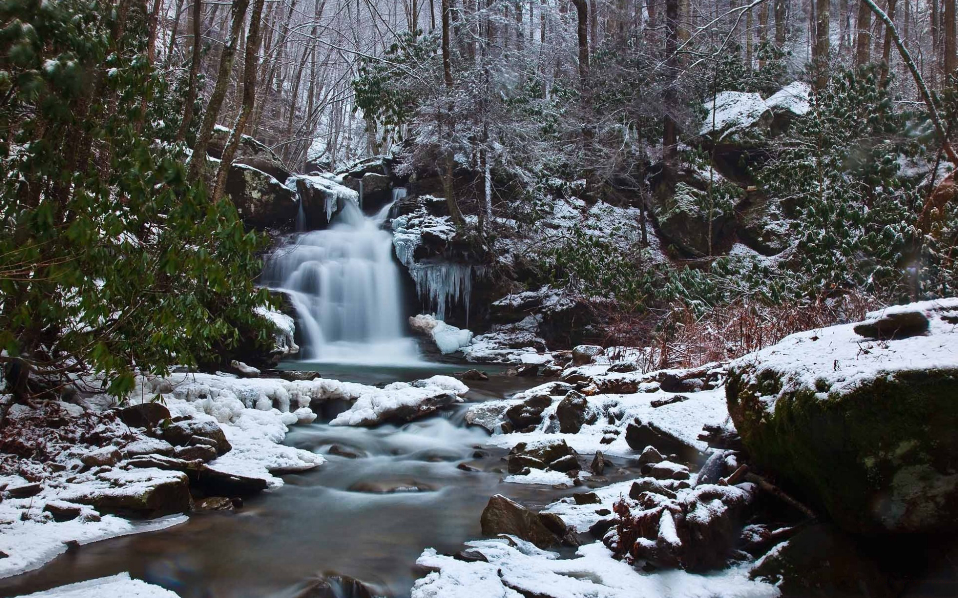 лес, водопад, природа