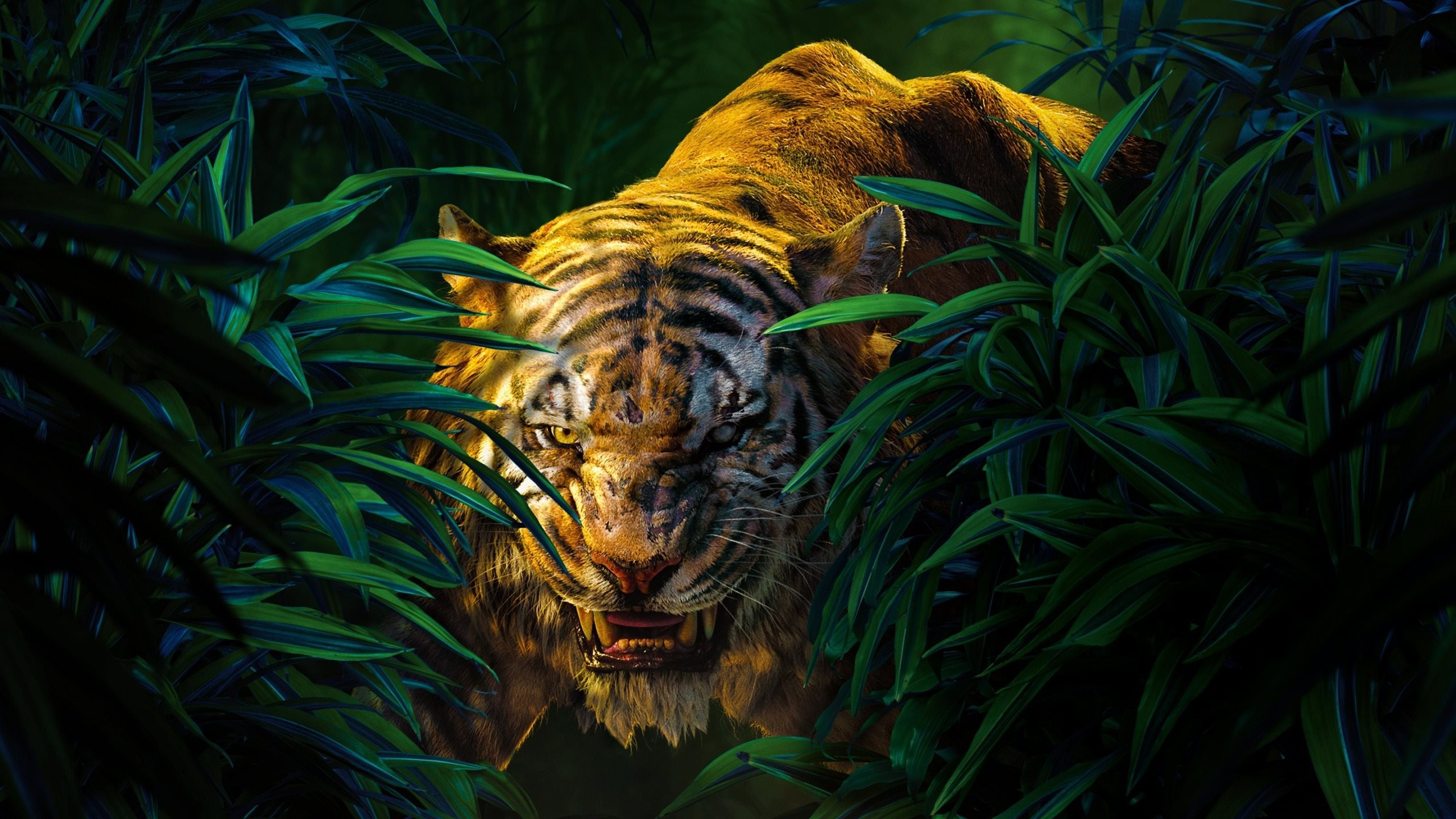 джунгли, книга, хань No 169851 Разрешение 2560x1440