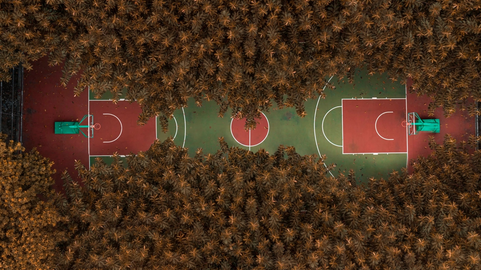 площадь, баскетбол, осень