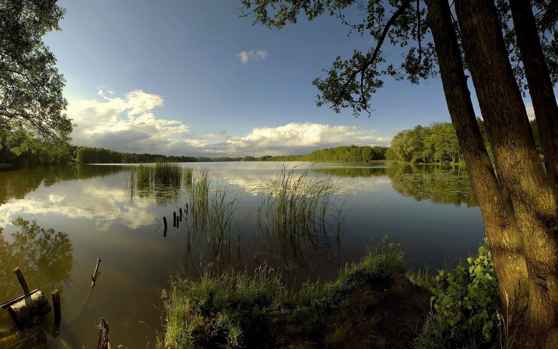 рыбалка, озеро, рыбалки