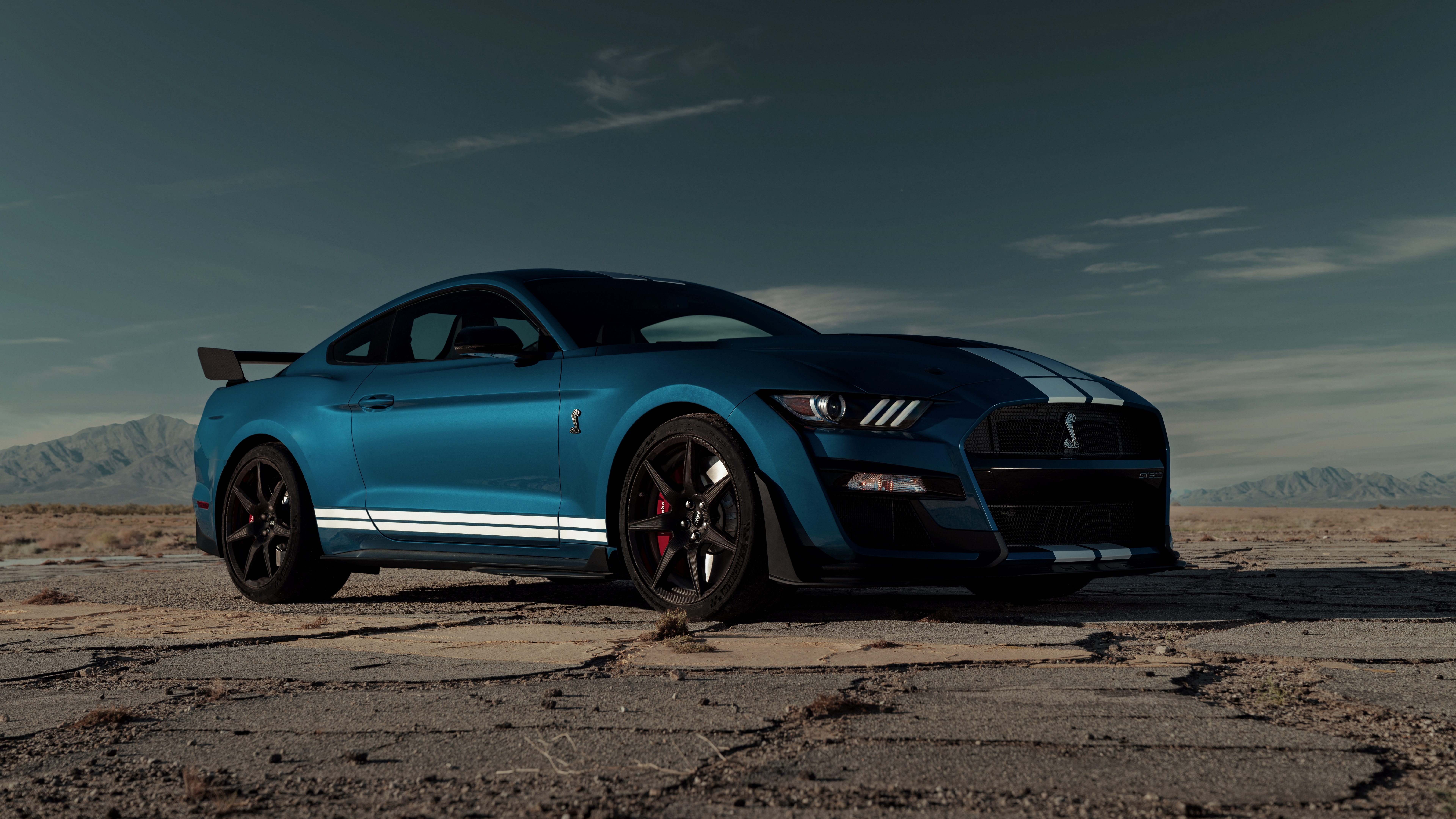 shelby, ford, mustang