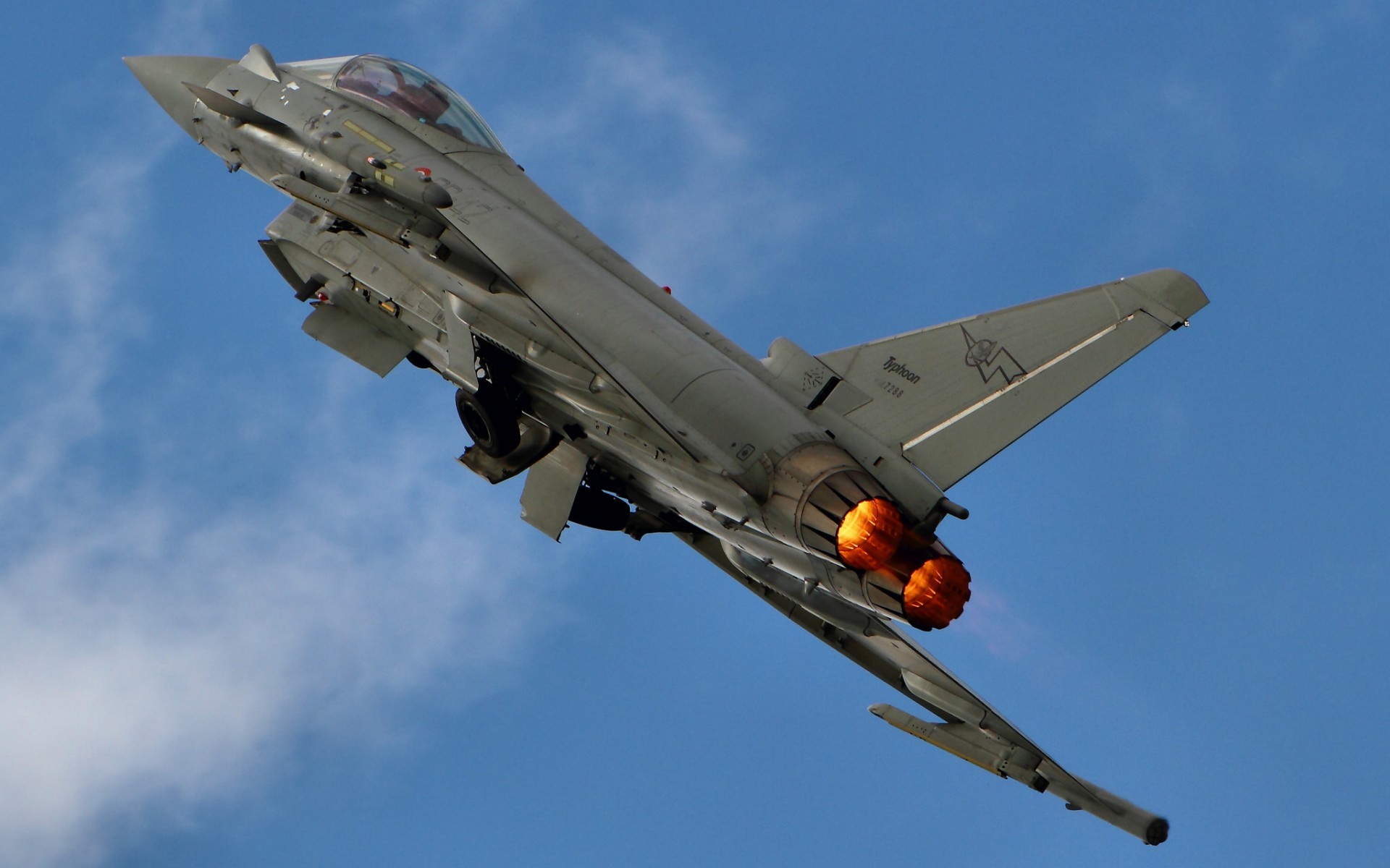 eurofighter, тайфун, дика
