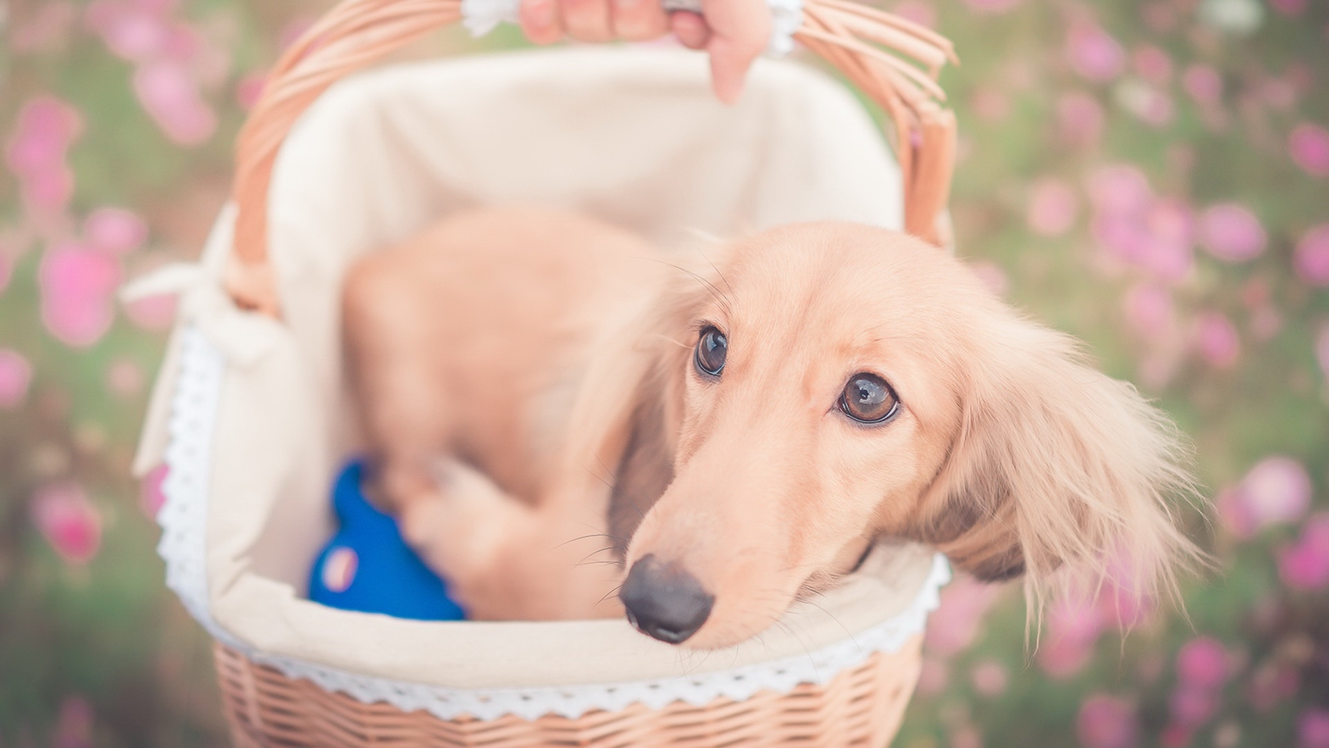 слюки, народ