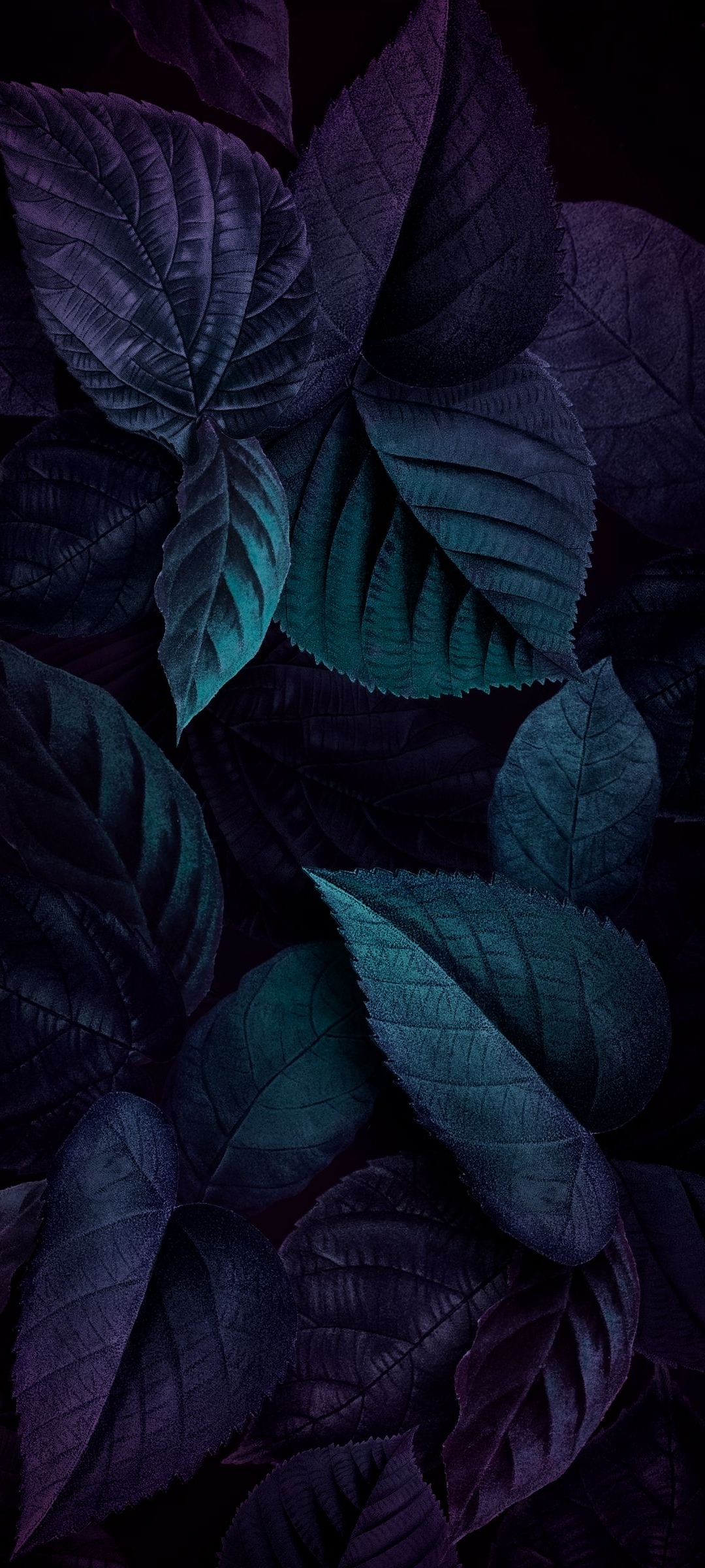 картина, русские, например