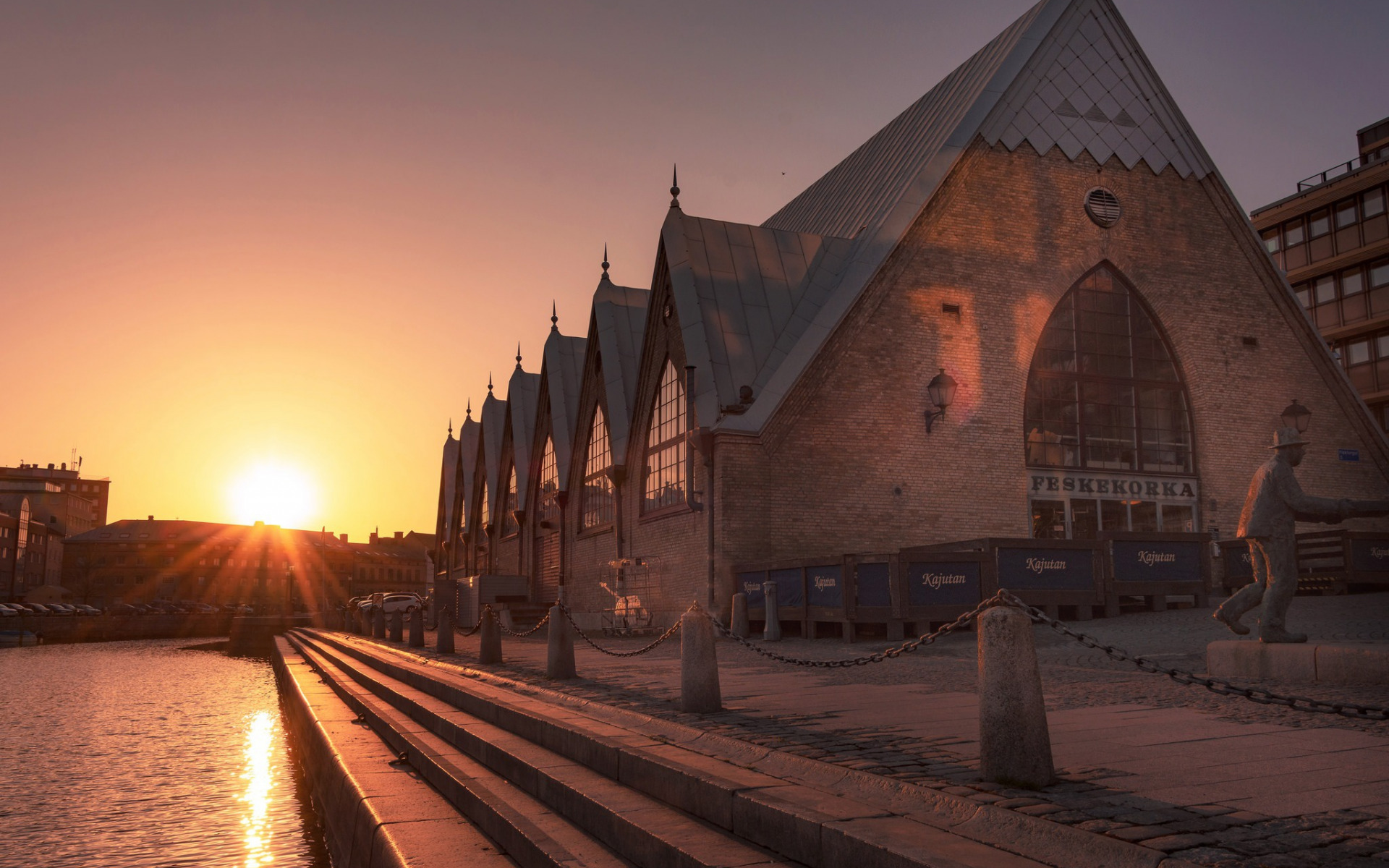 gothenburg, sweden, дерево