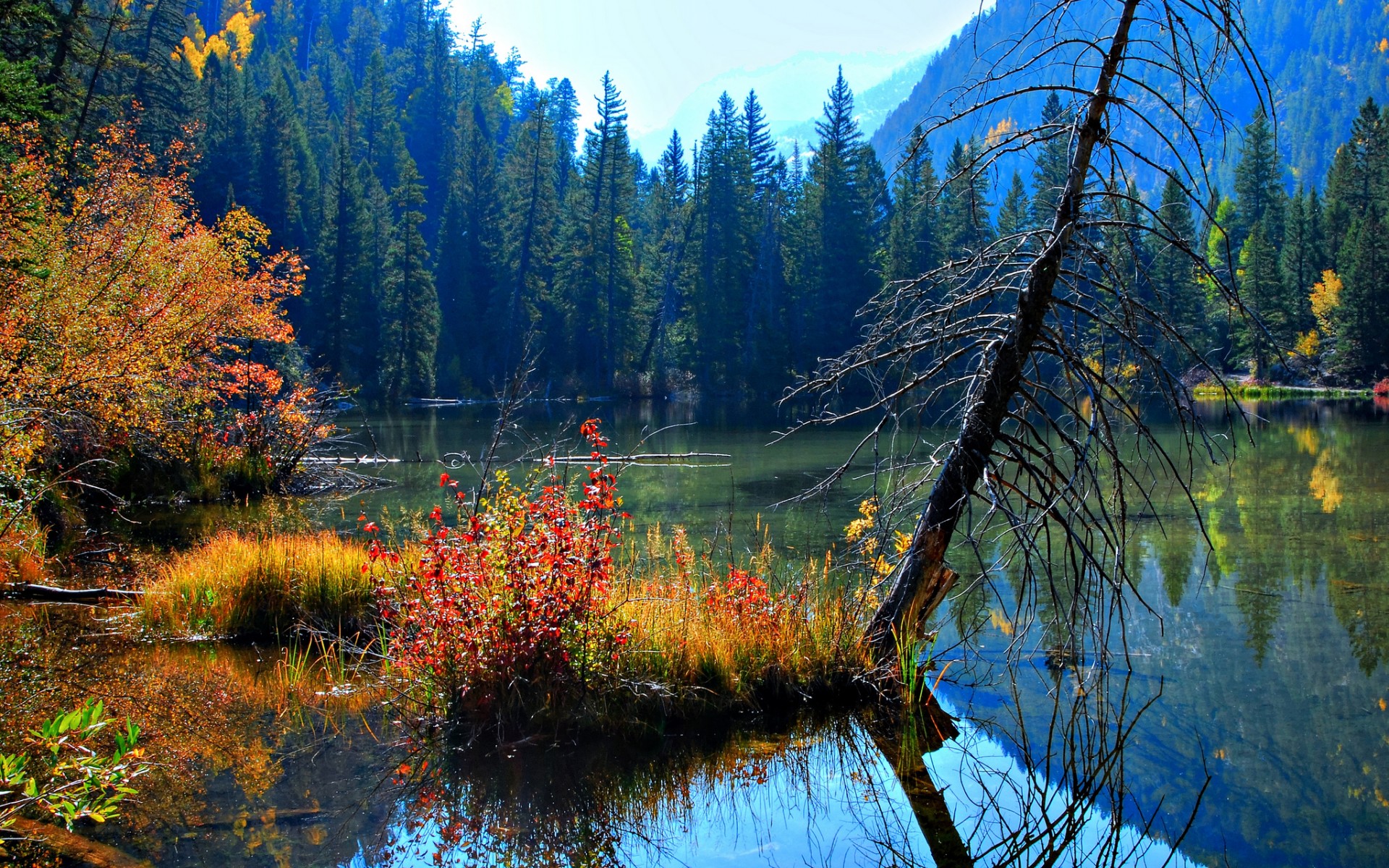 завод, фото