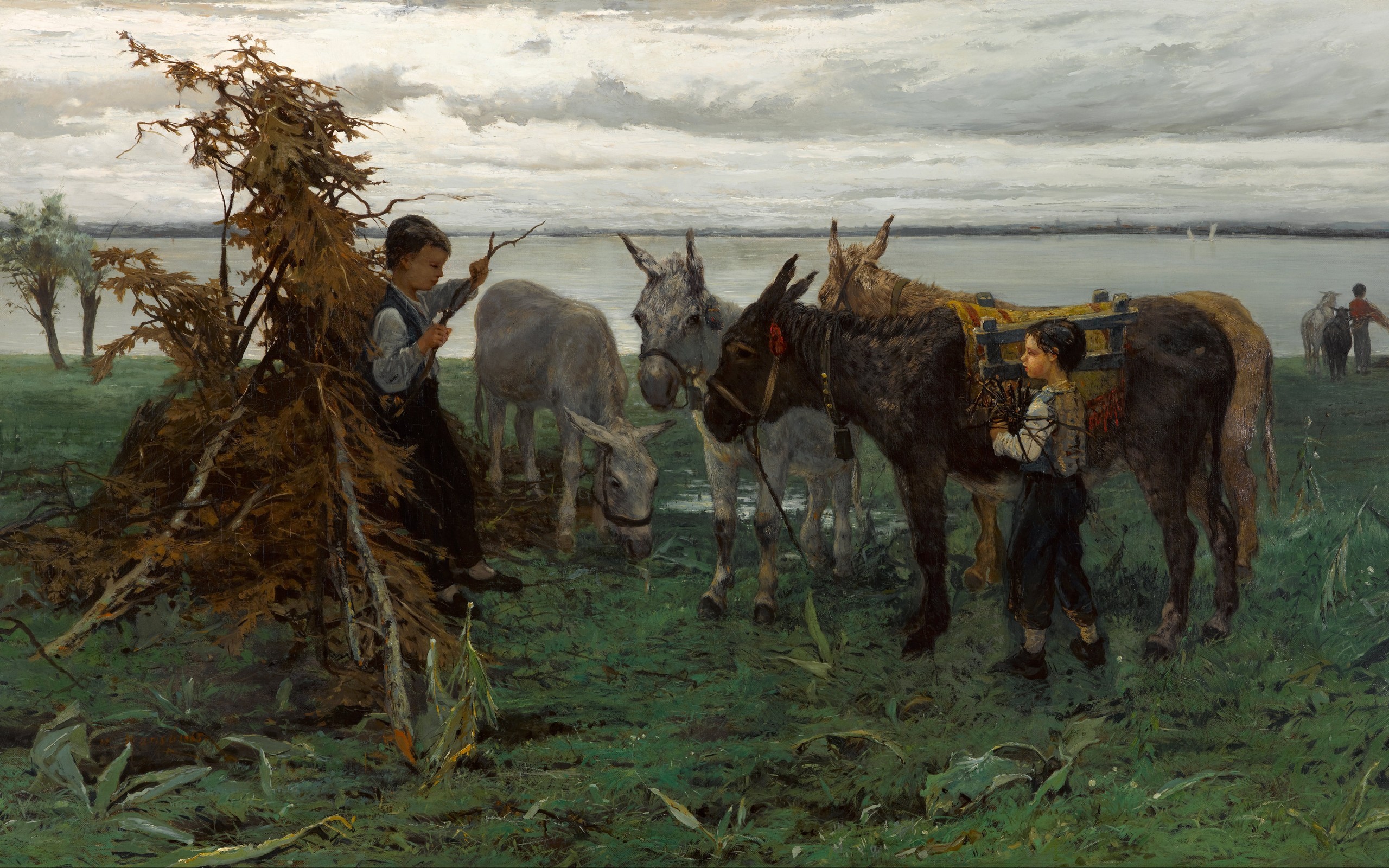 стадо, осел, мальчик