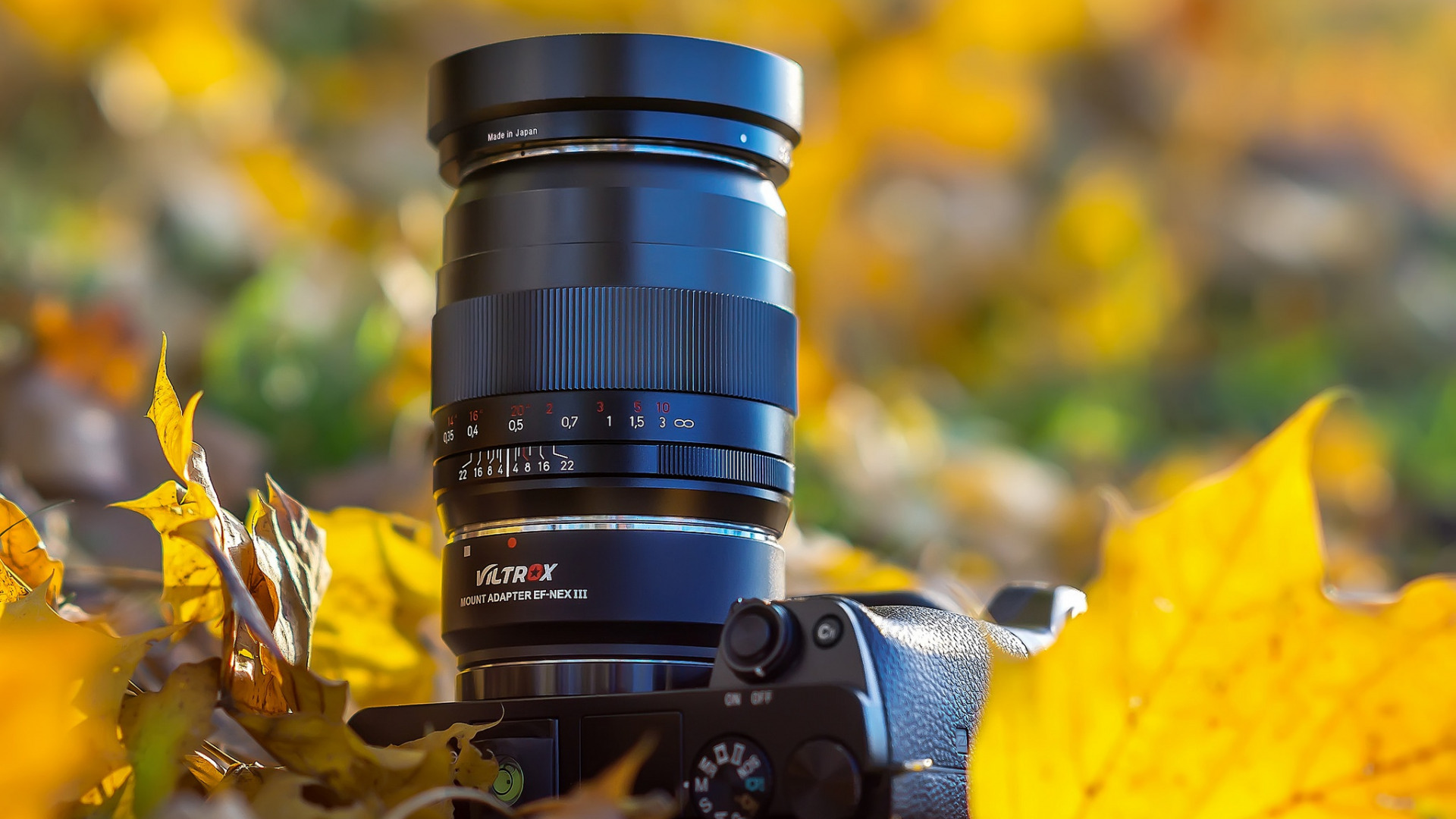 знаменитый