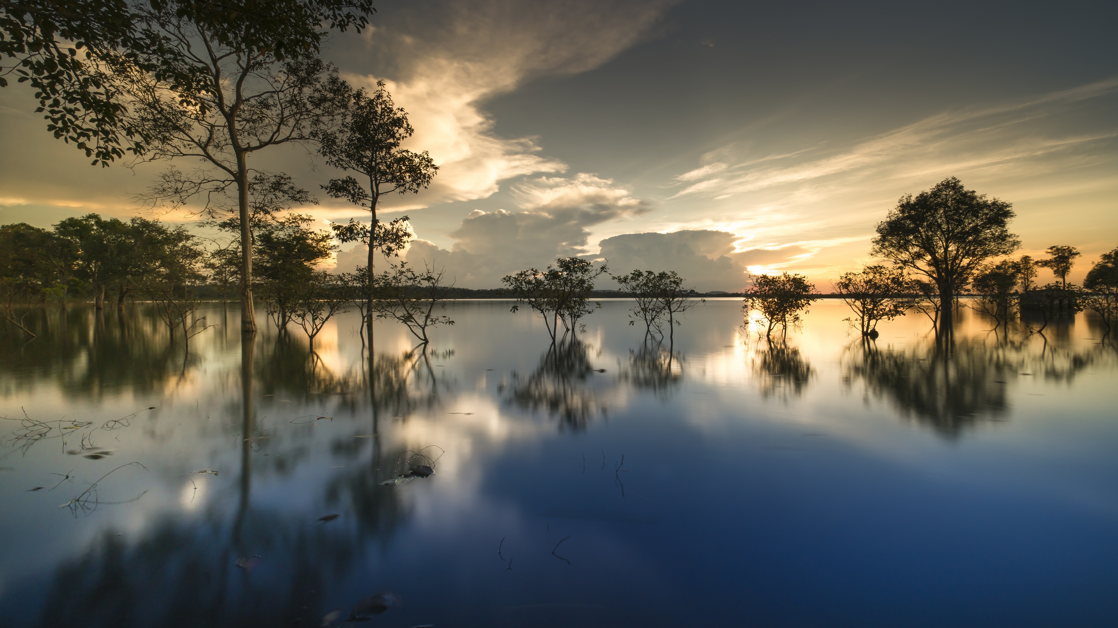 зелень, вода