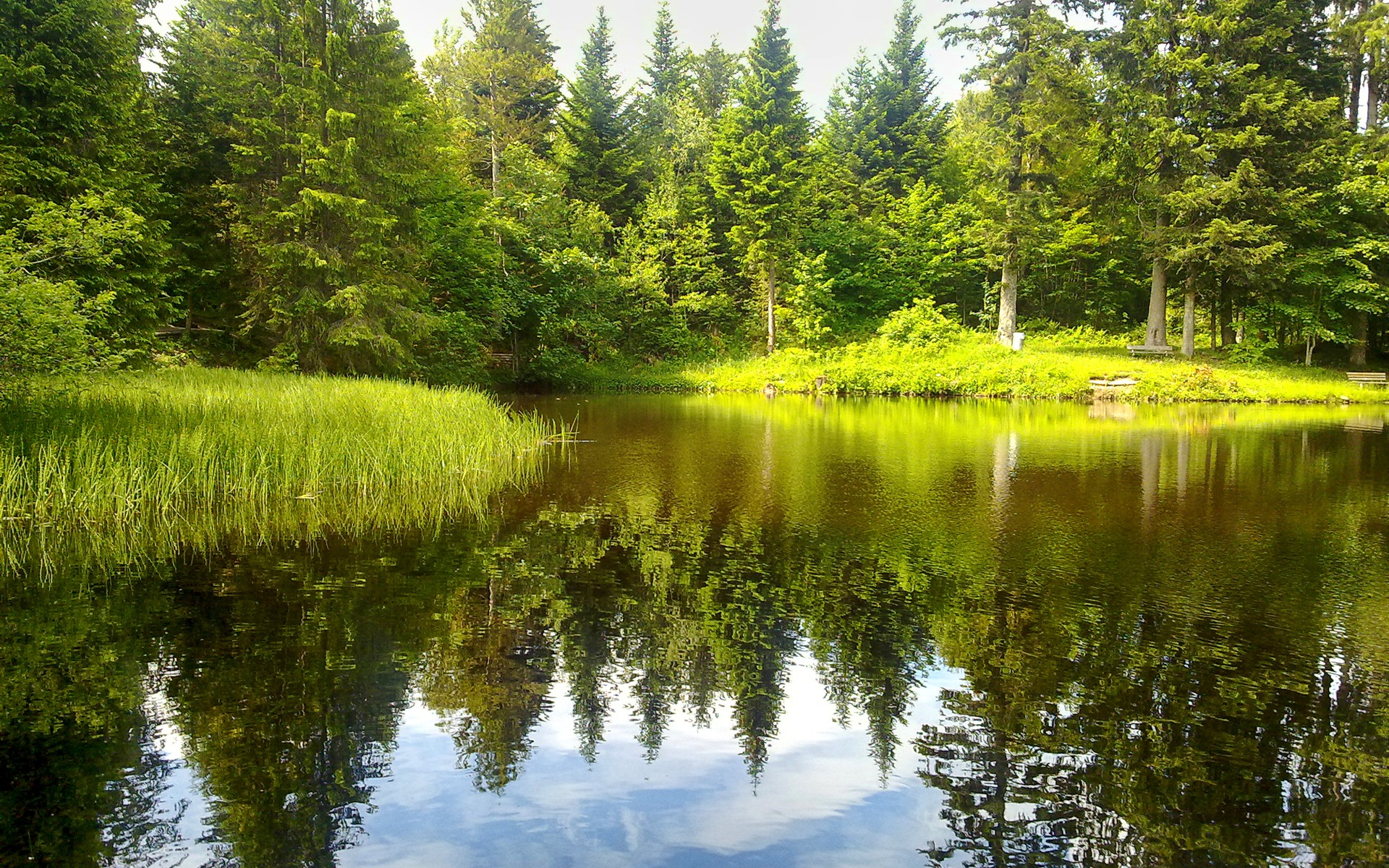 природа, озеро, река