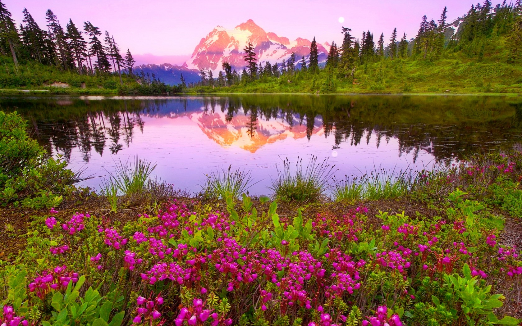 shuksan, national, north