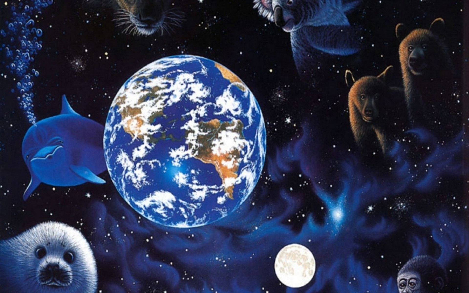 дом, брат, животное