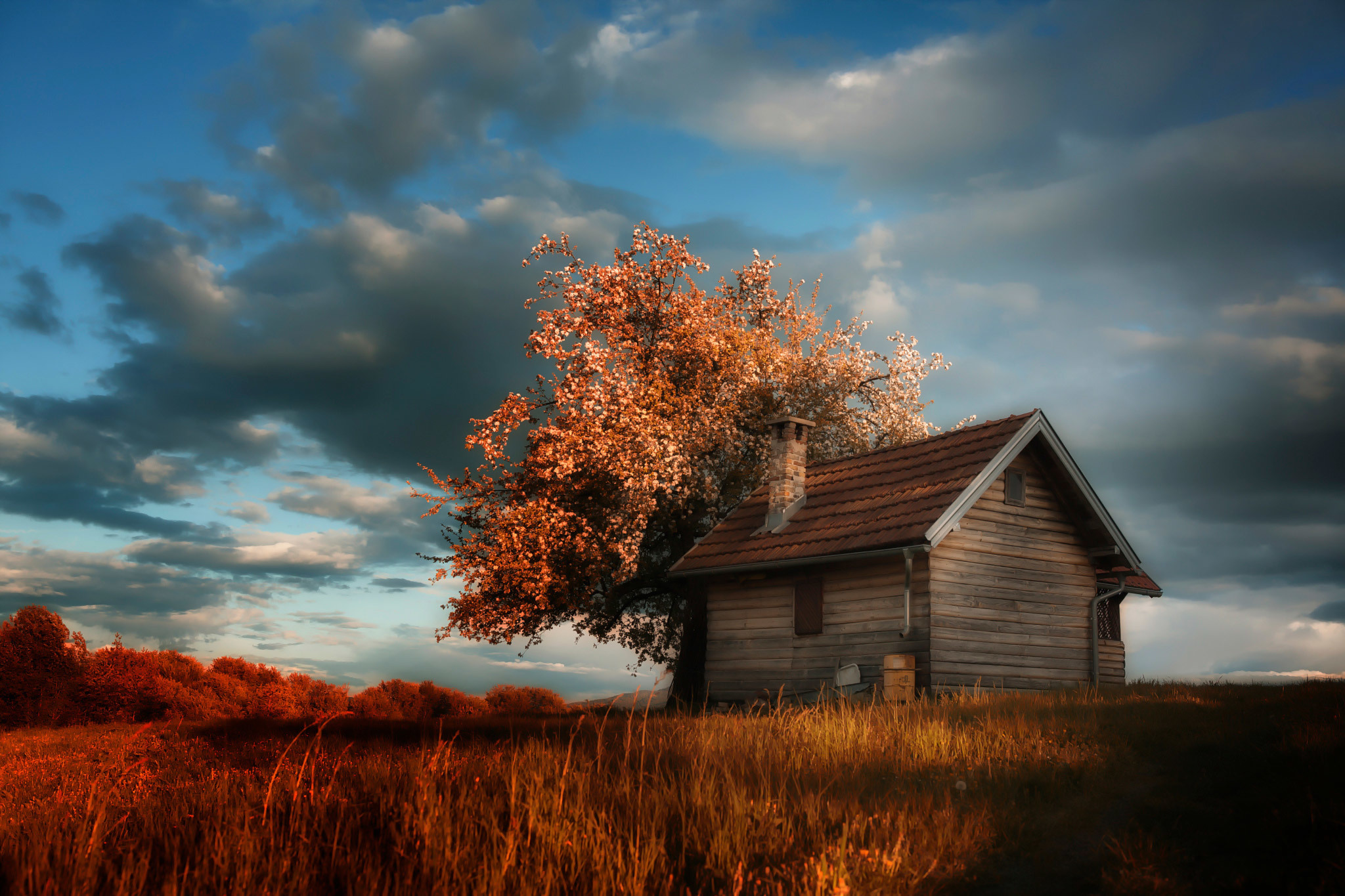 Одиноко стоящий дом. Осень в деревне. Пейзаж с домом. Пейзаж с домиком. Пейзаж с деревянными домами.