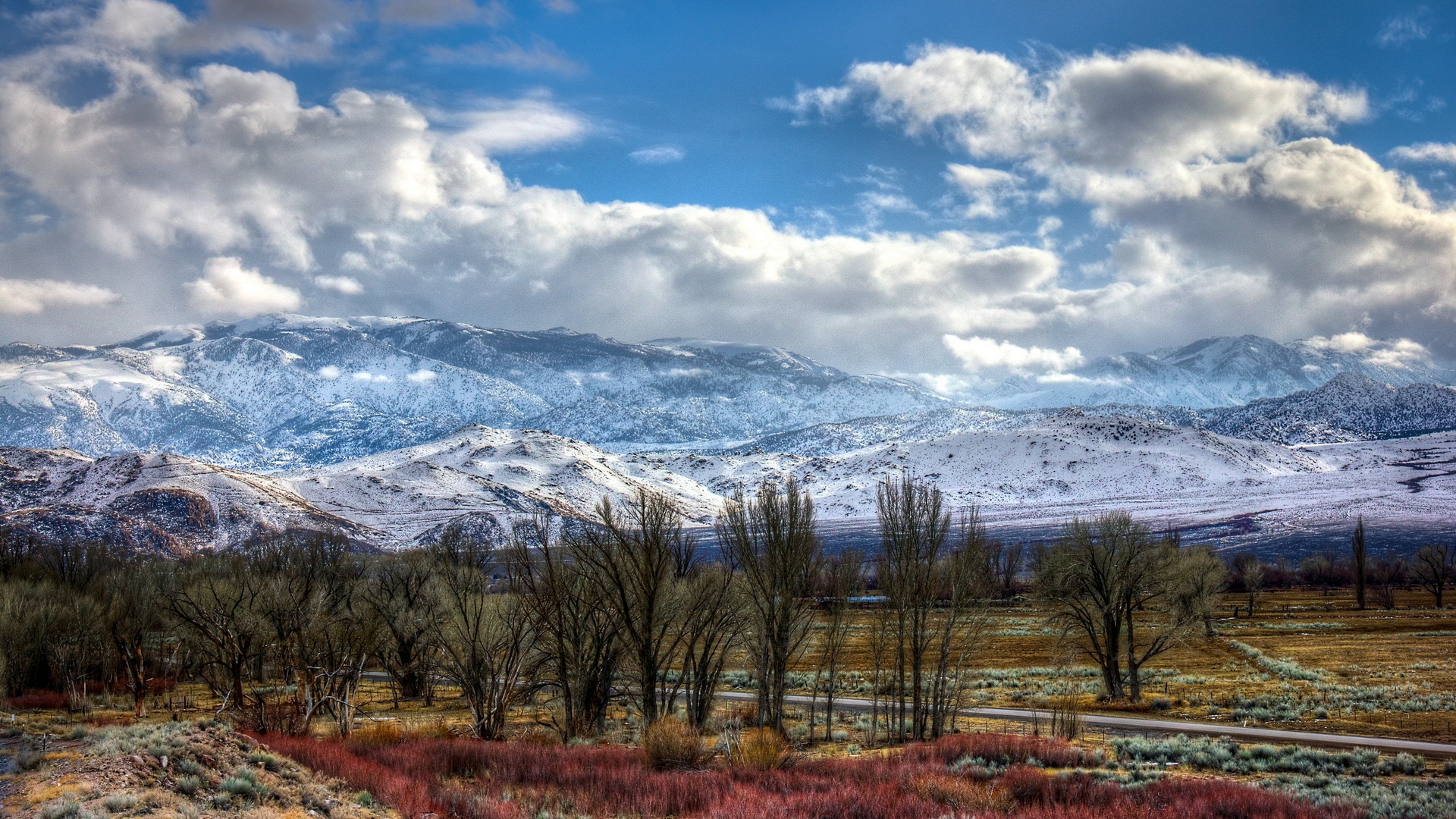 центр, пейзаж
