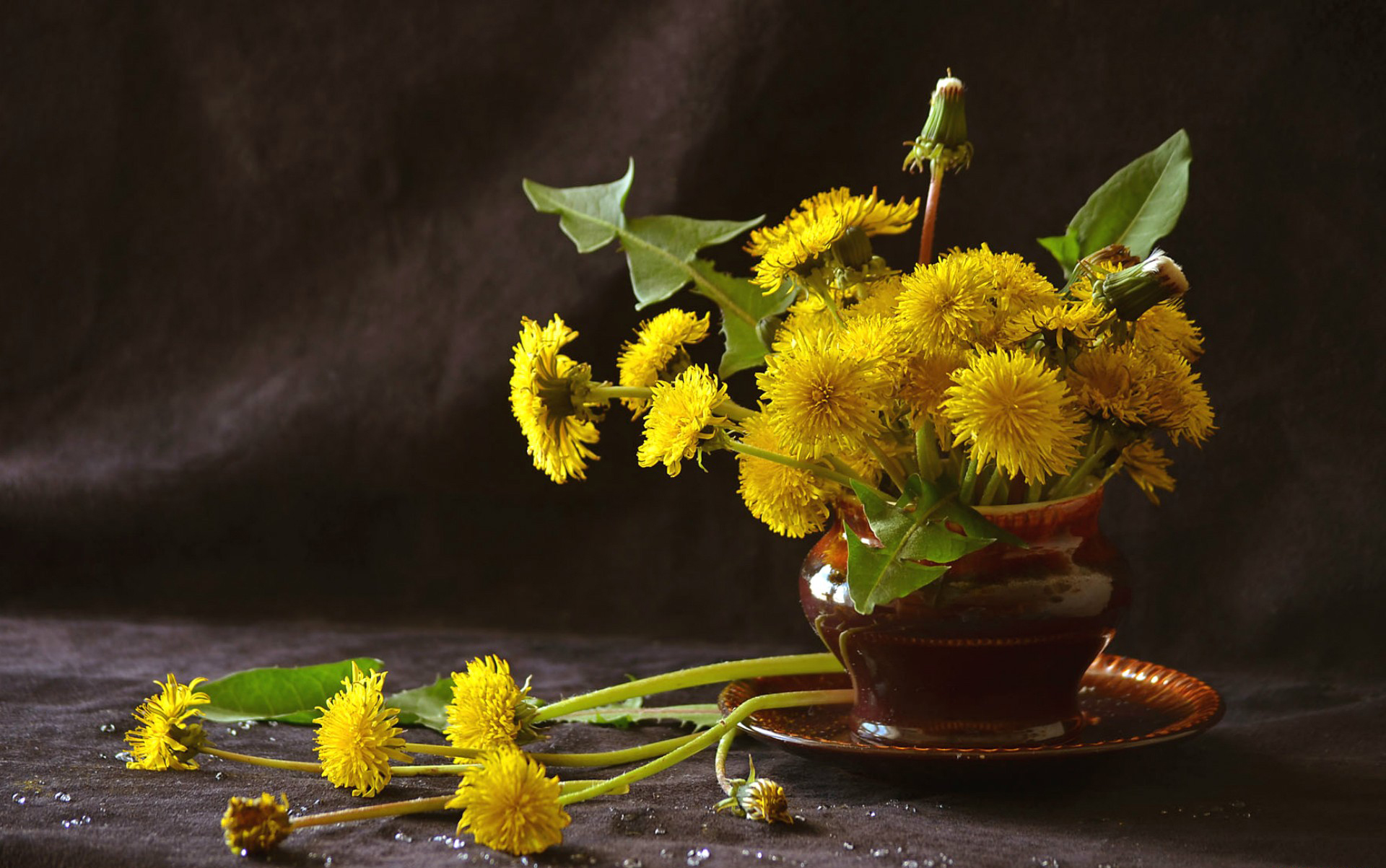 одуванчик, букет, цветы