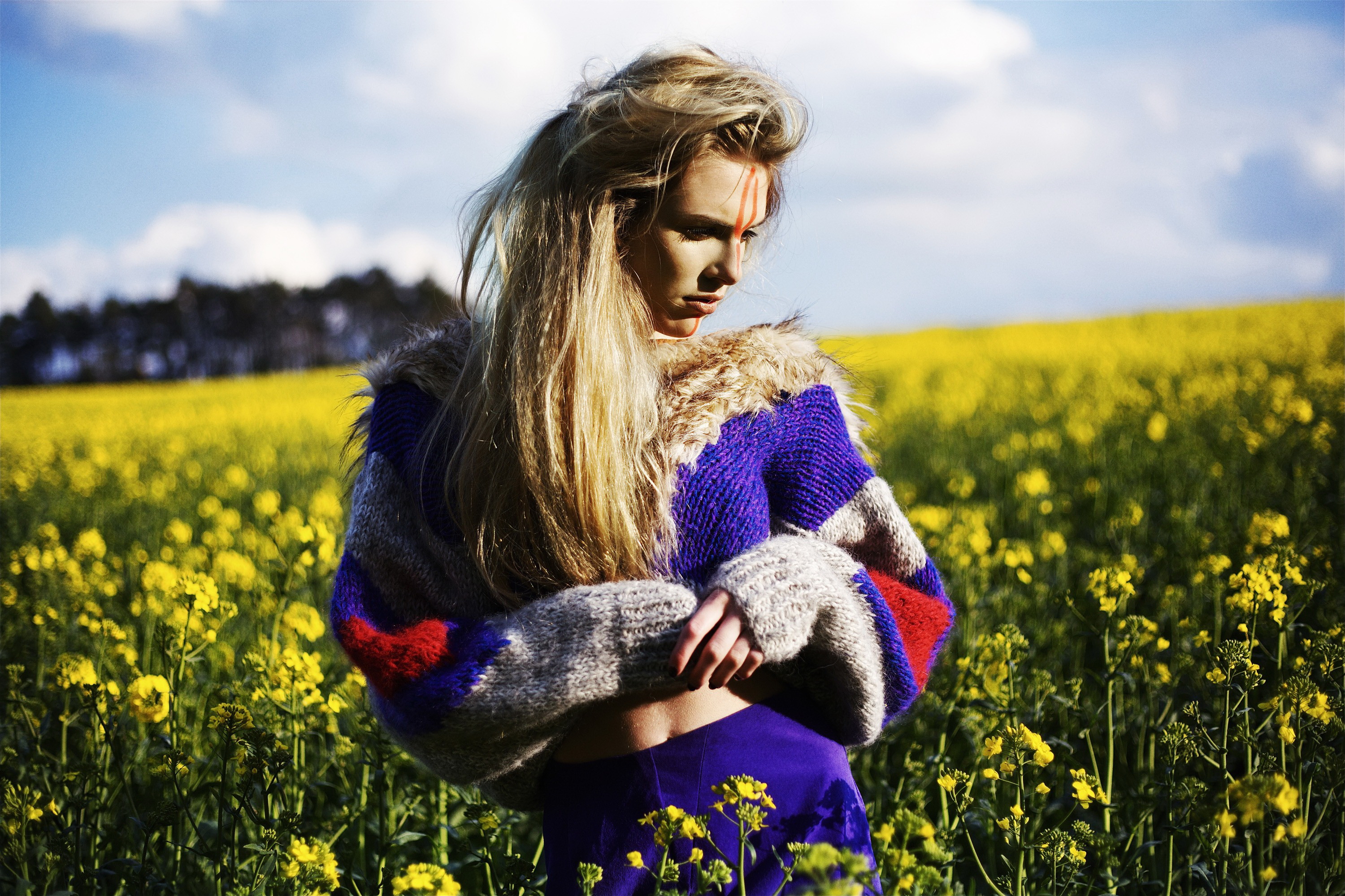 свитер, свитер, юбка