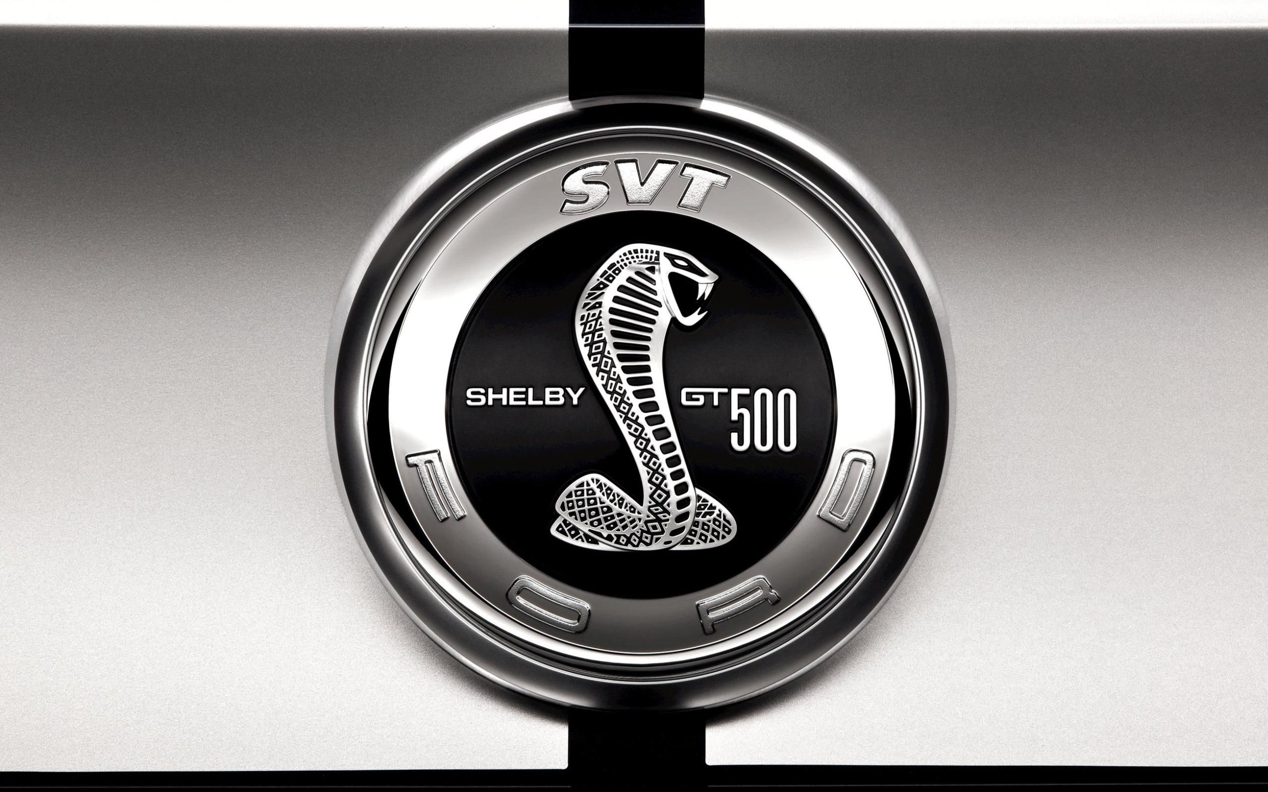ford, shelby, mustang